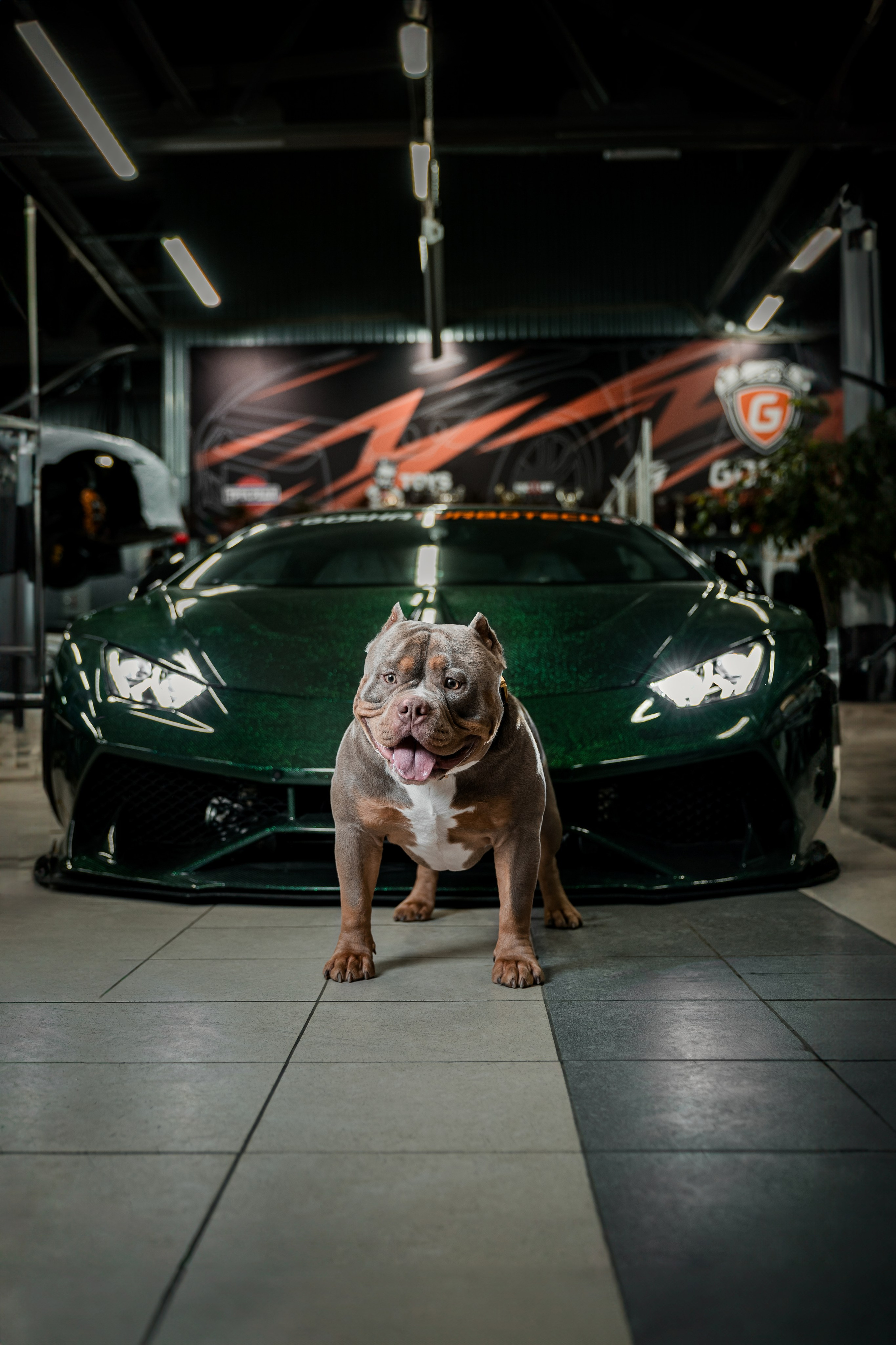 Анималистика. Репортажный фотограф Мария Мадзик