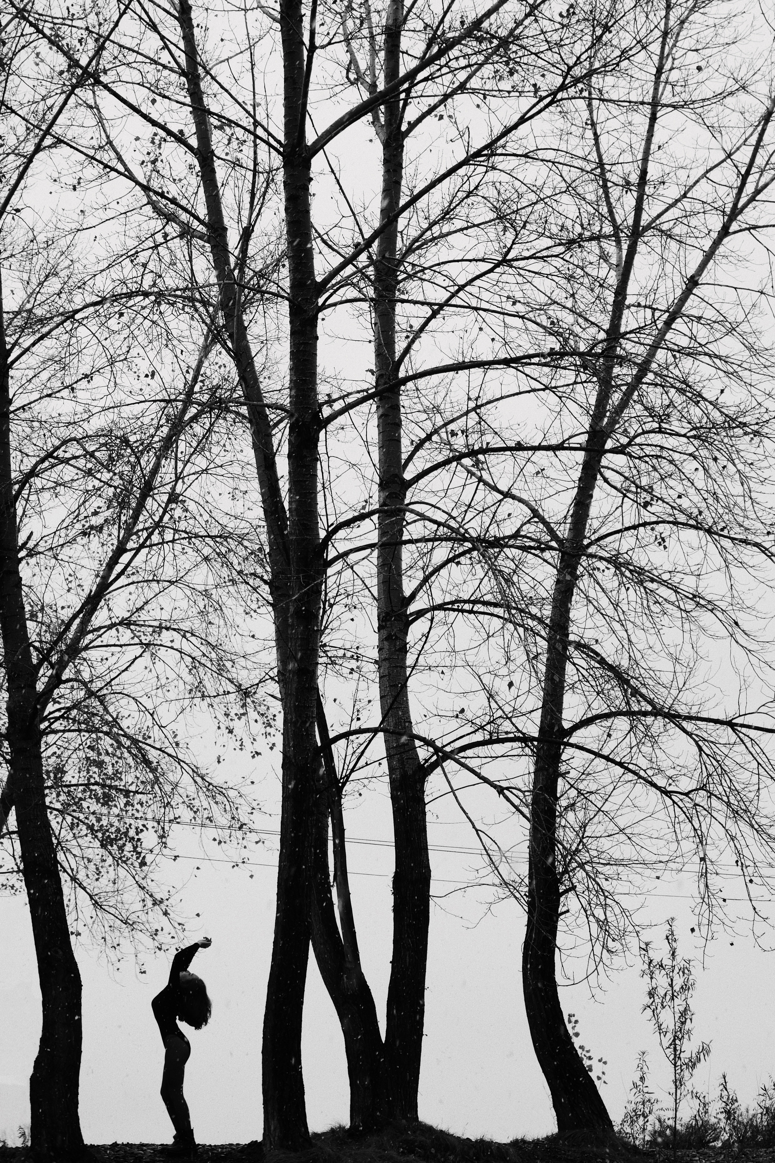 ДАША. КРИСТИНА ГУСЬКОВА