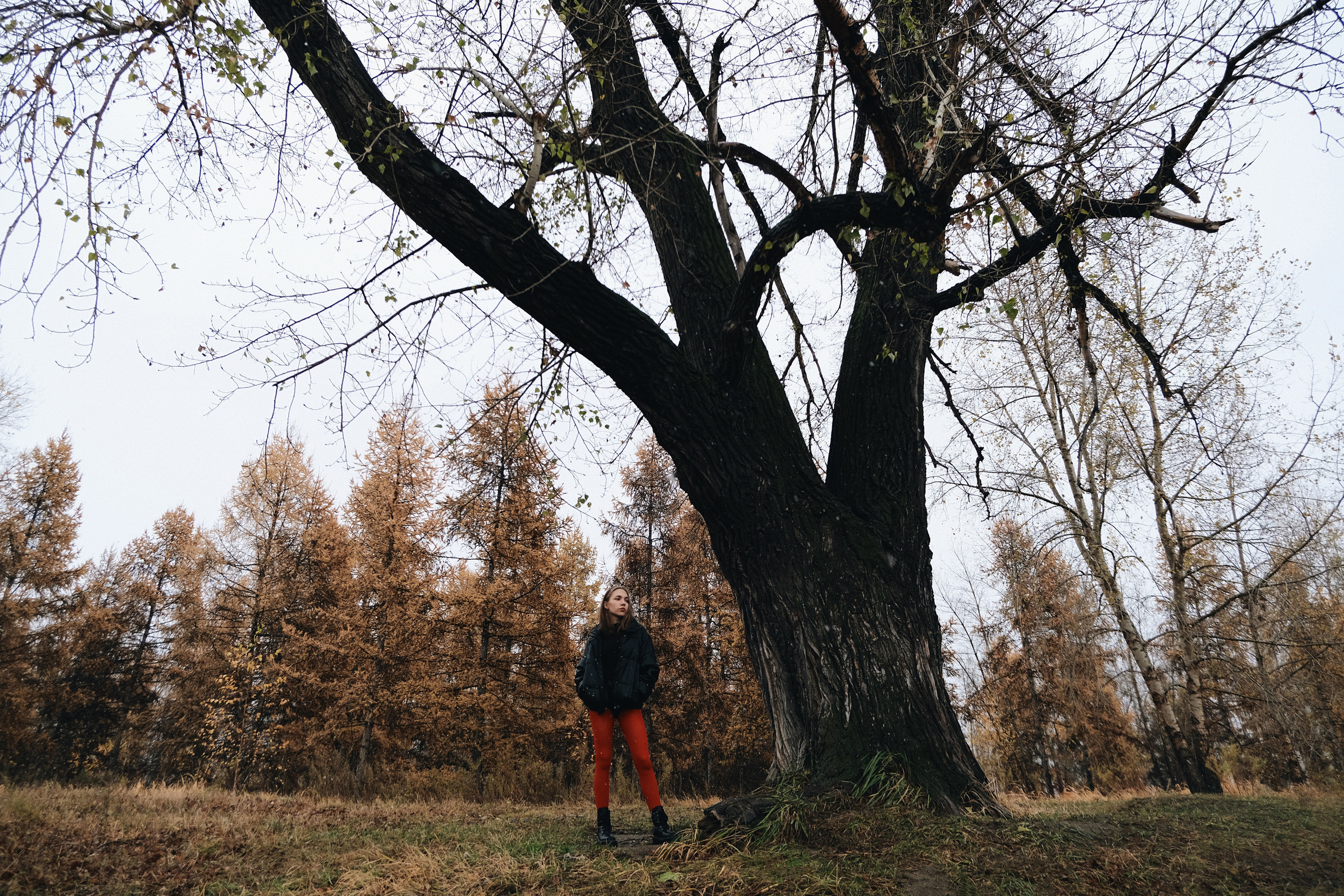 ДАША. КРИСТИНА ГУСЬКОВА