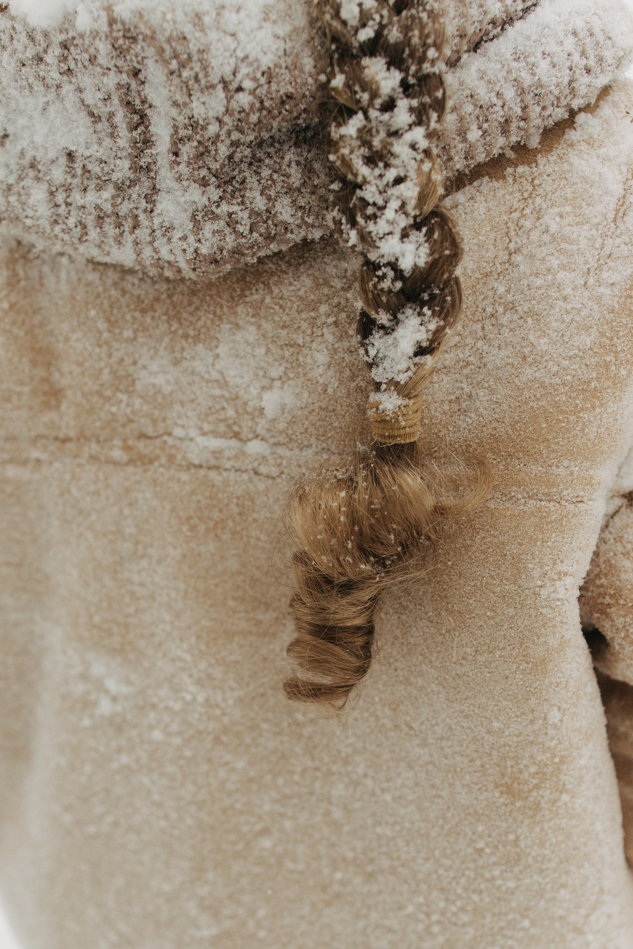 Снежный лес. Фотограф Анастасия Бобылева, Москва и Московская область