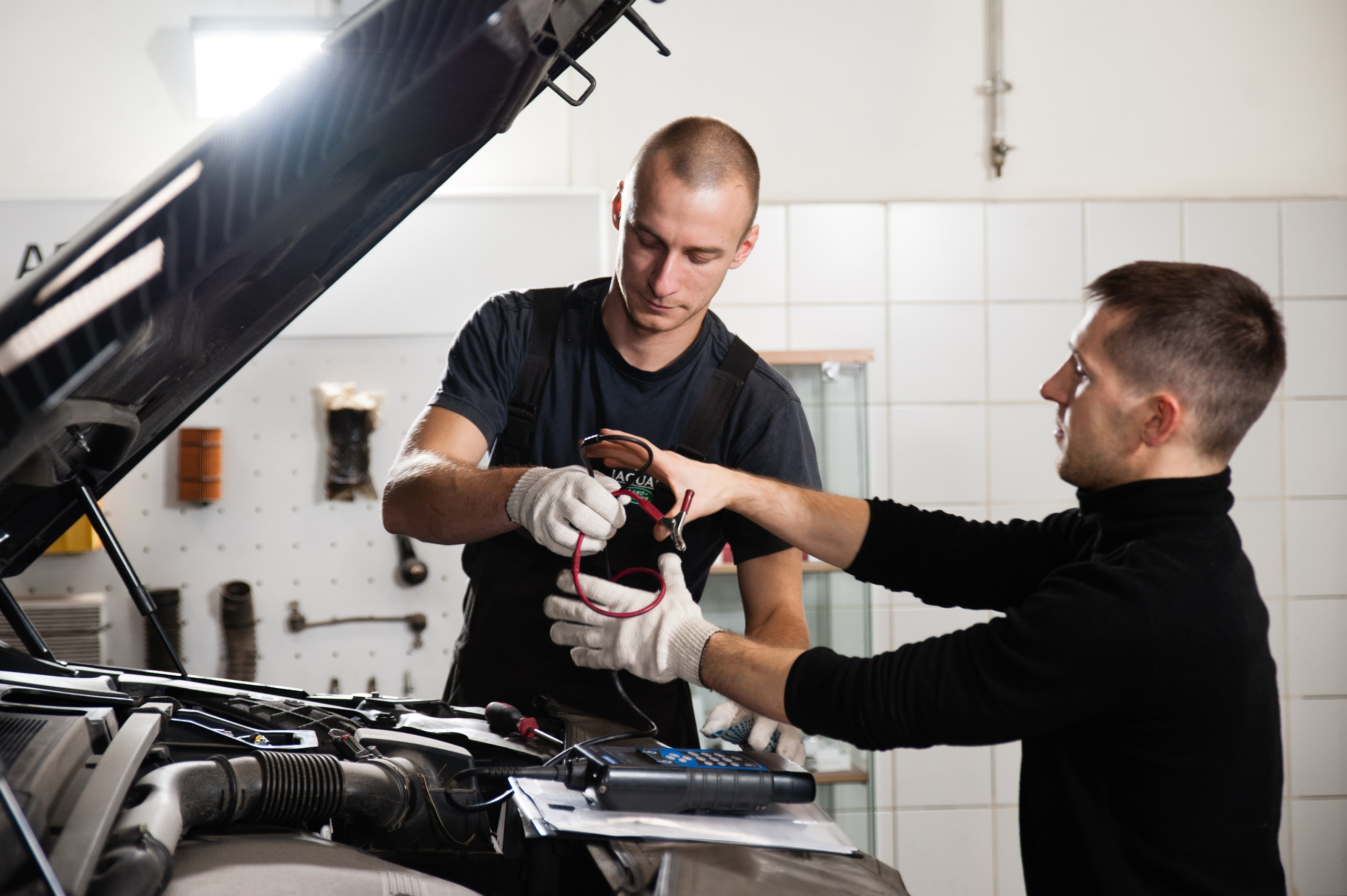 Артекс. Профессиональный фотограф в Москве Александра Харламова