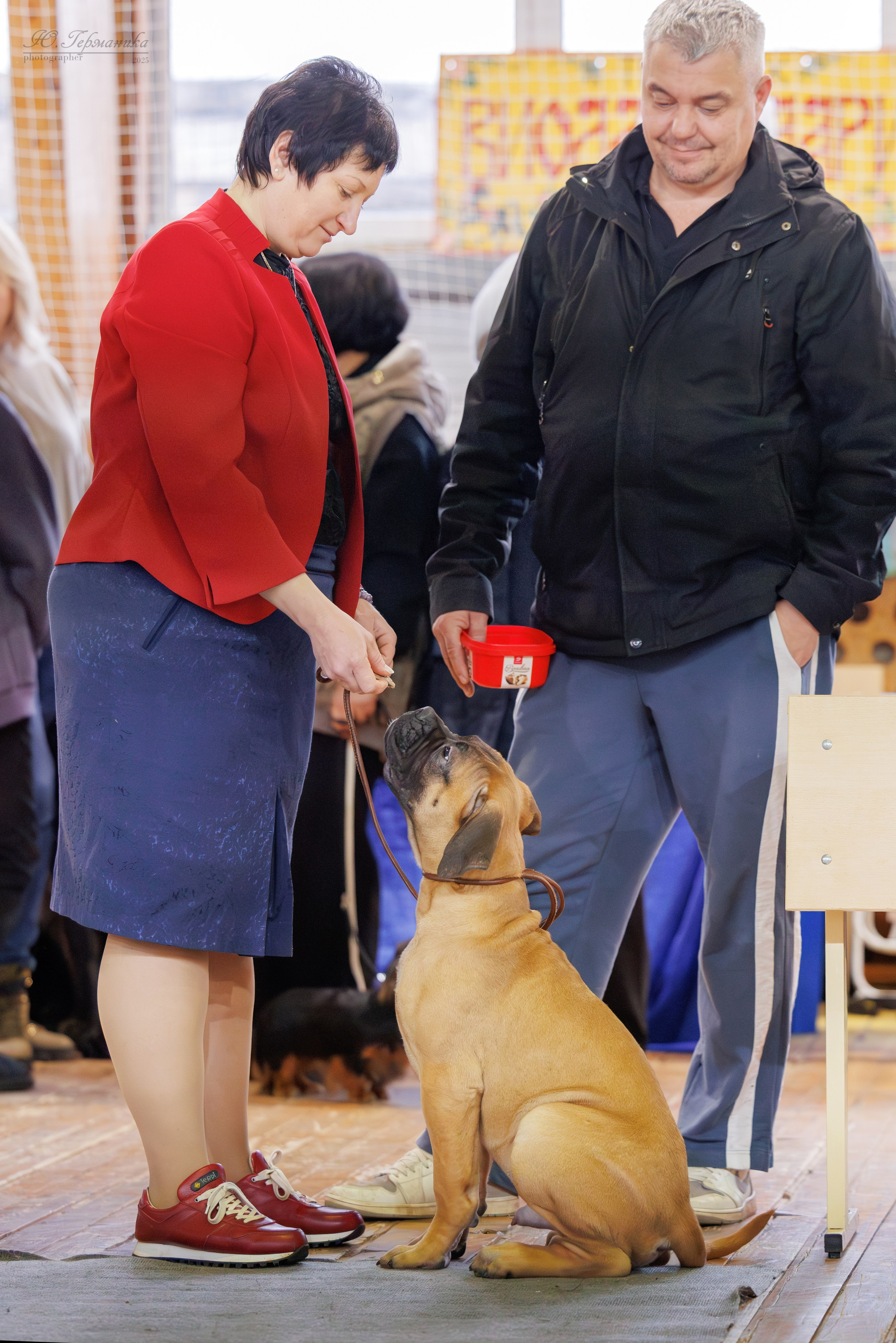Тверь 21.12.2025. Фотограф-анималист Юлия Германика