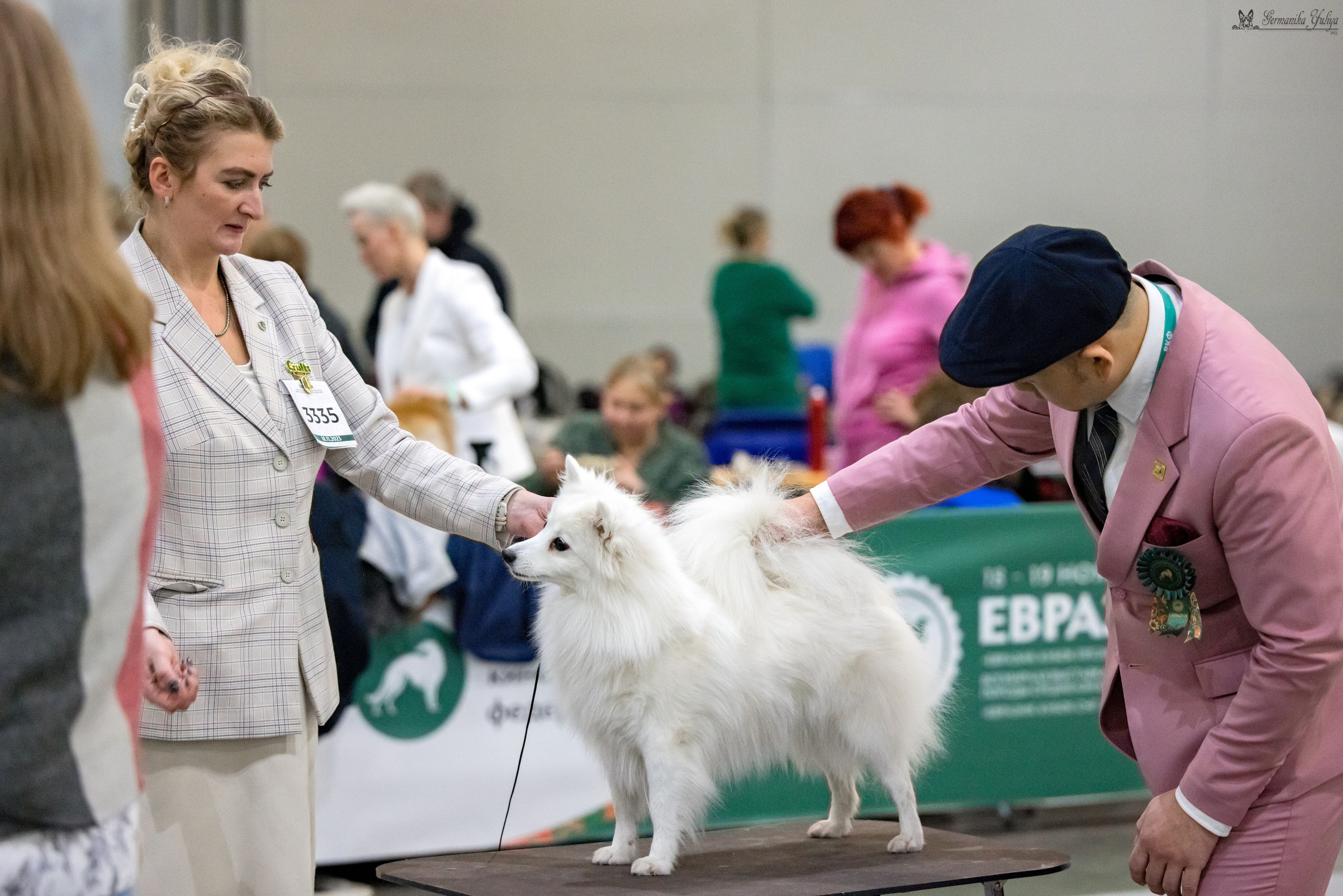 ЕВРАЗИЯ 18-19.11.2023. Фотограф-анималист Юлия Германика