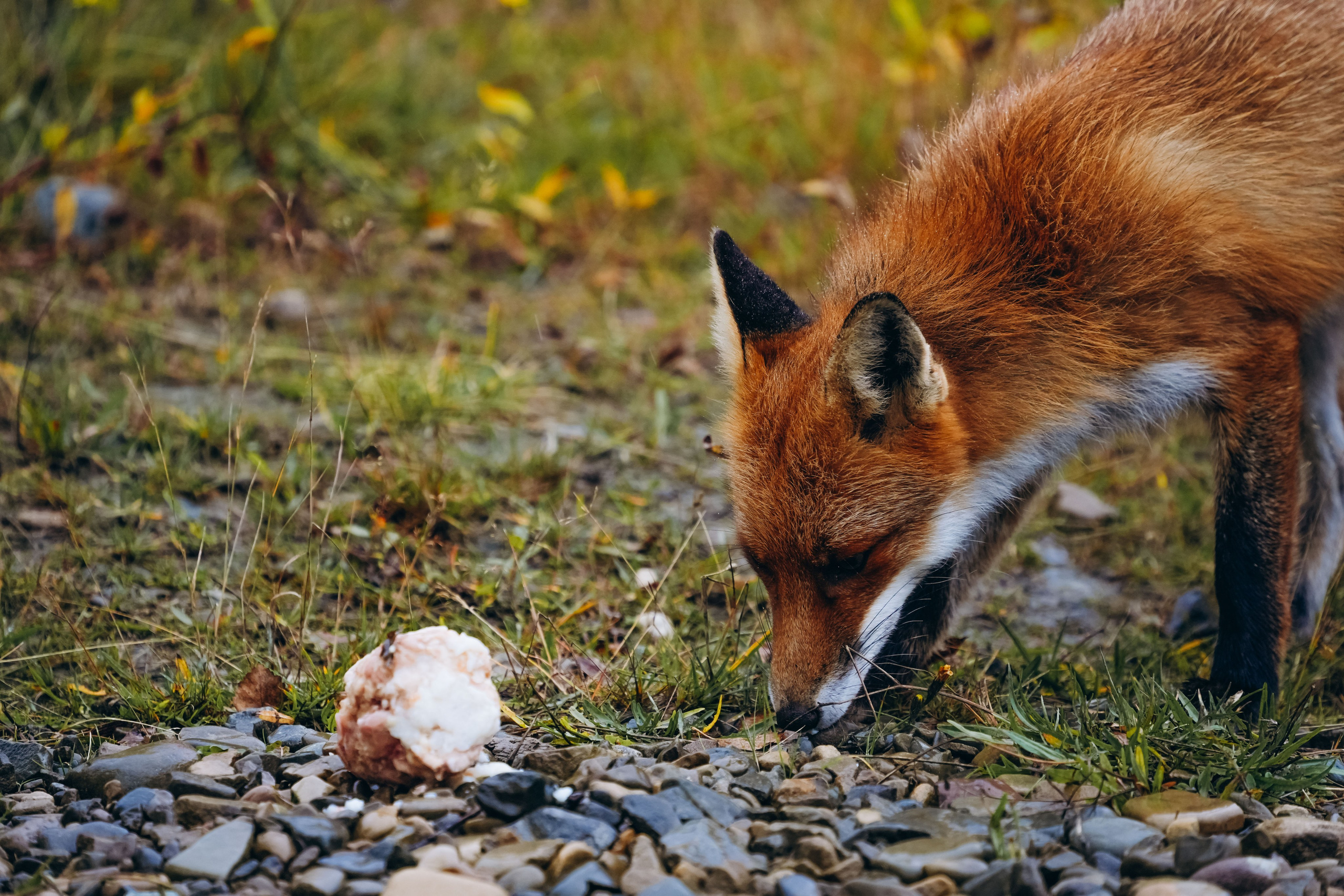 СЕВЕР. Event фотограф Степанова Александра