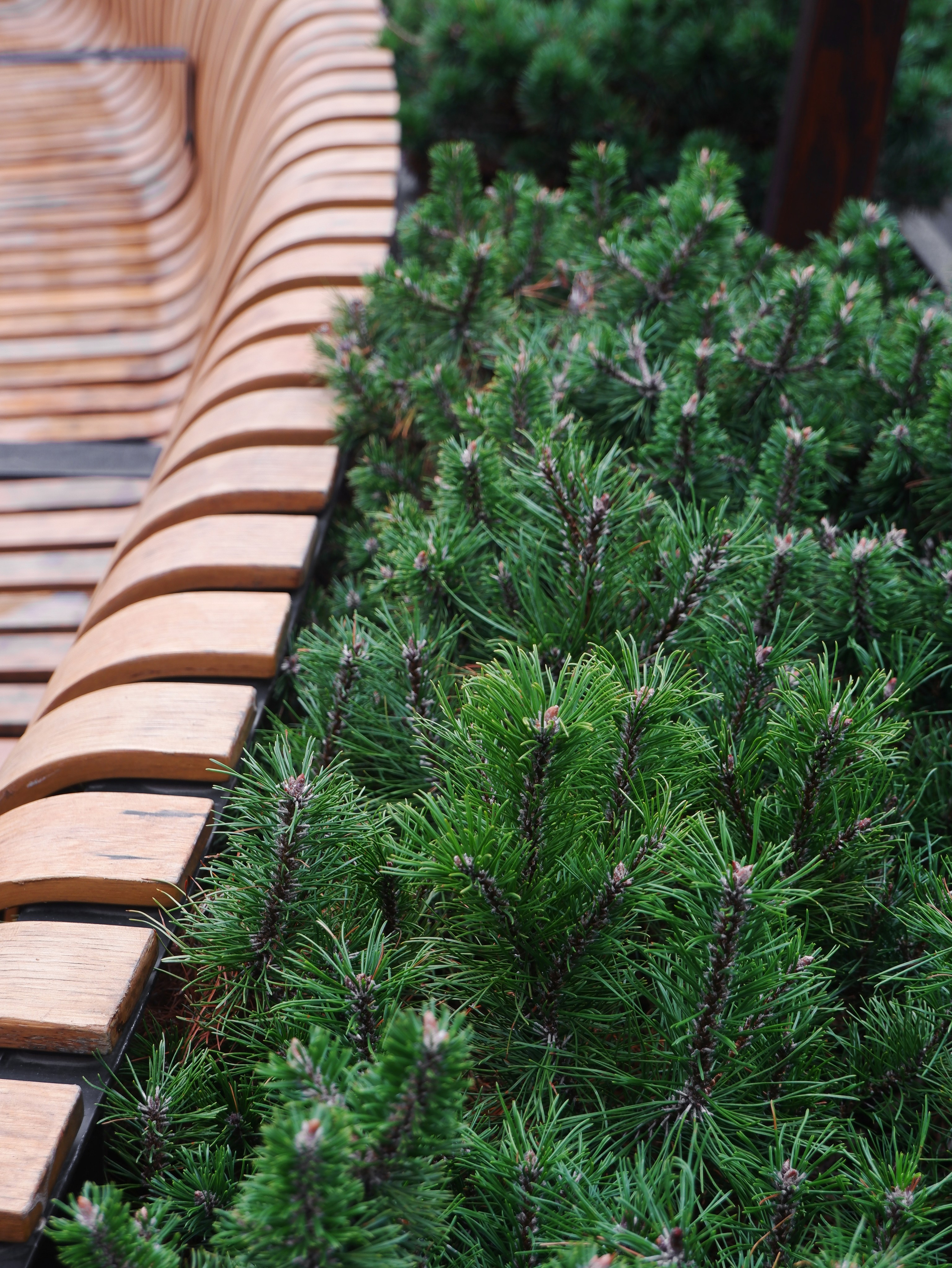 Фито технологии брендинг. Графический дизайн и ретушь фотографий, Москва