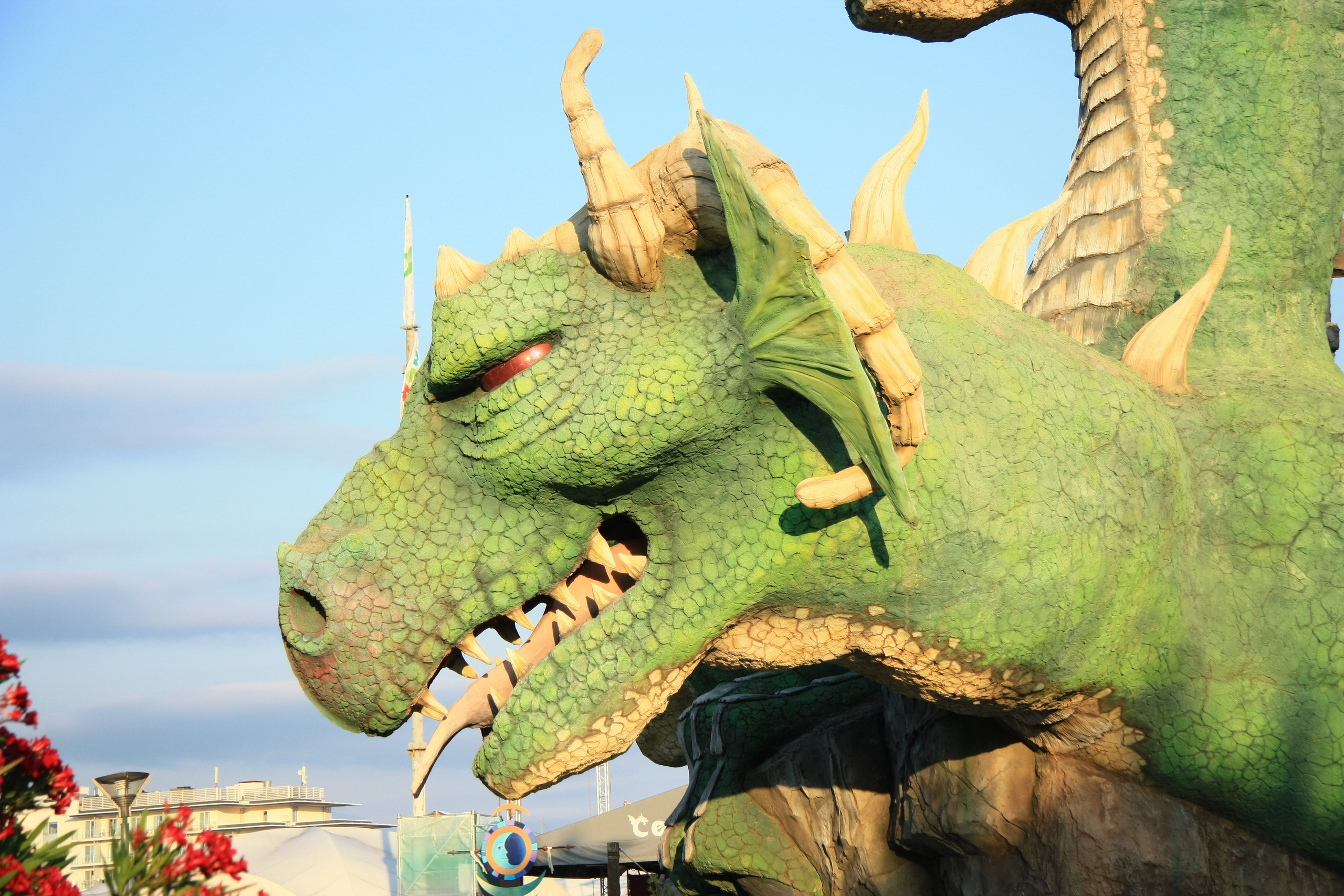 Первые кадры. Сочи — парк. Фотограф Роман Адлер