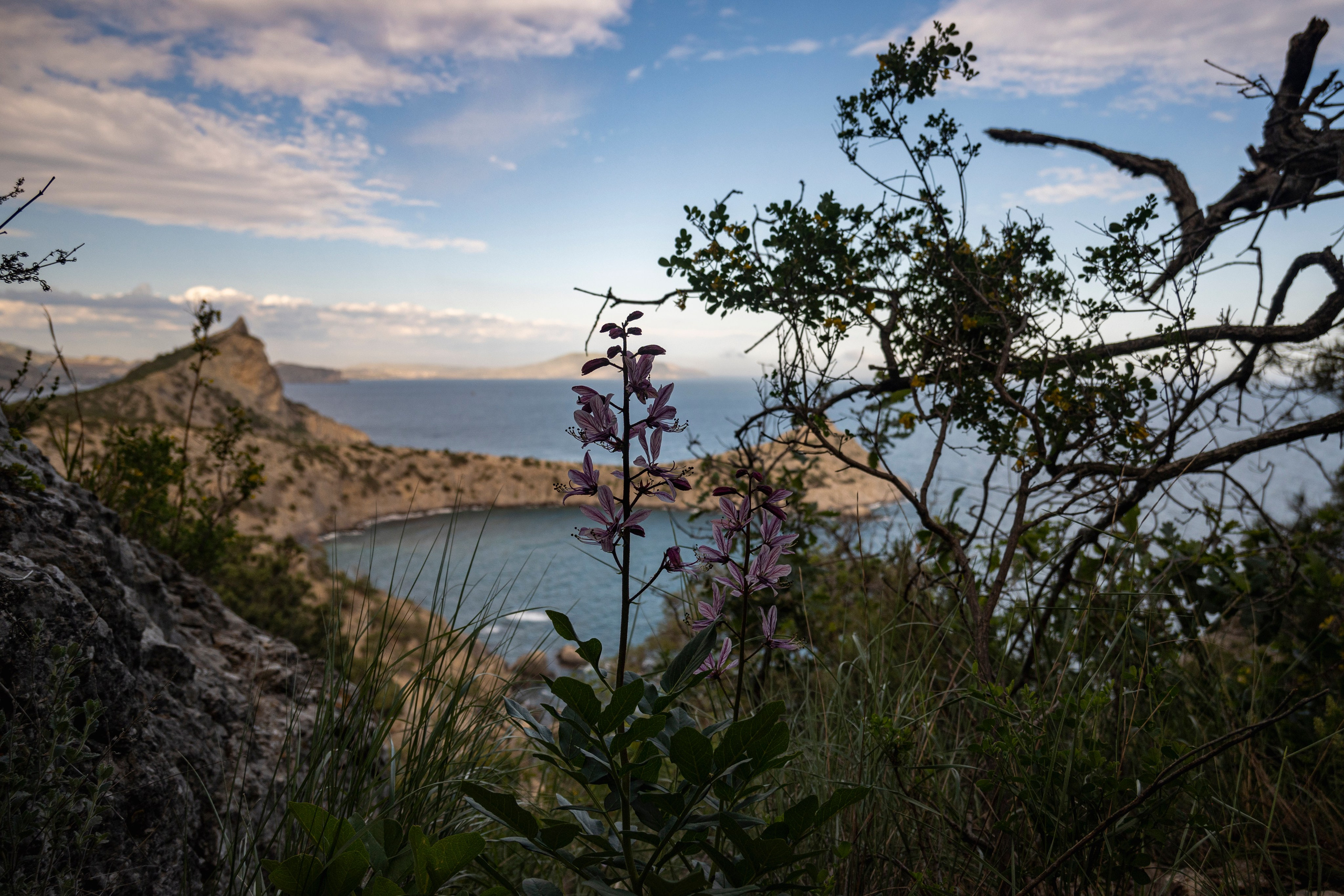 Крым май 2022. Фотограф Роман Адлер
