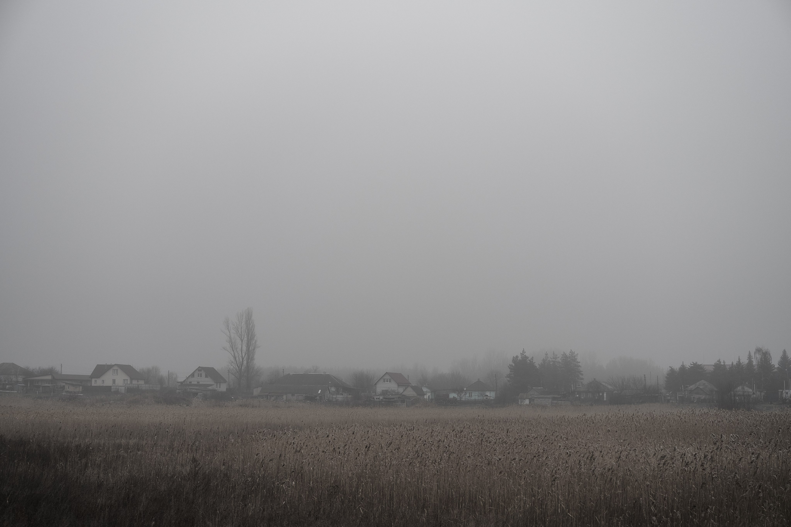 Дорога домой. Туман. Фотограф Роман Адлер