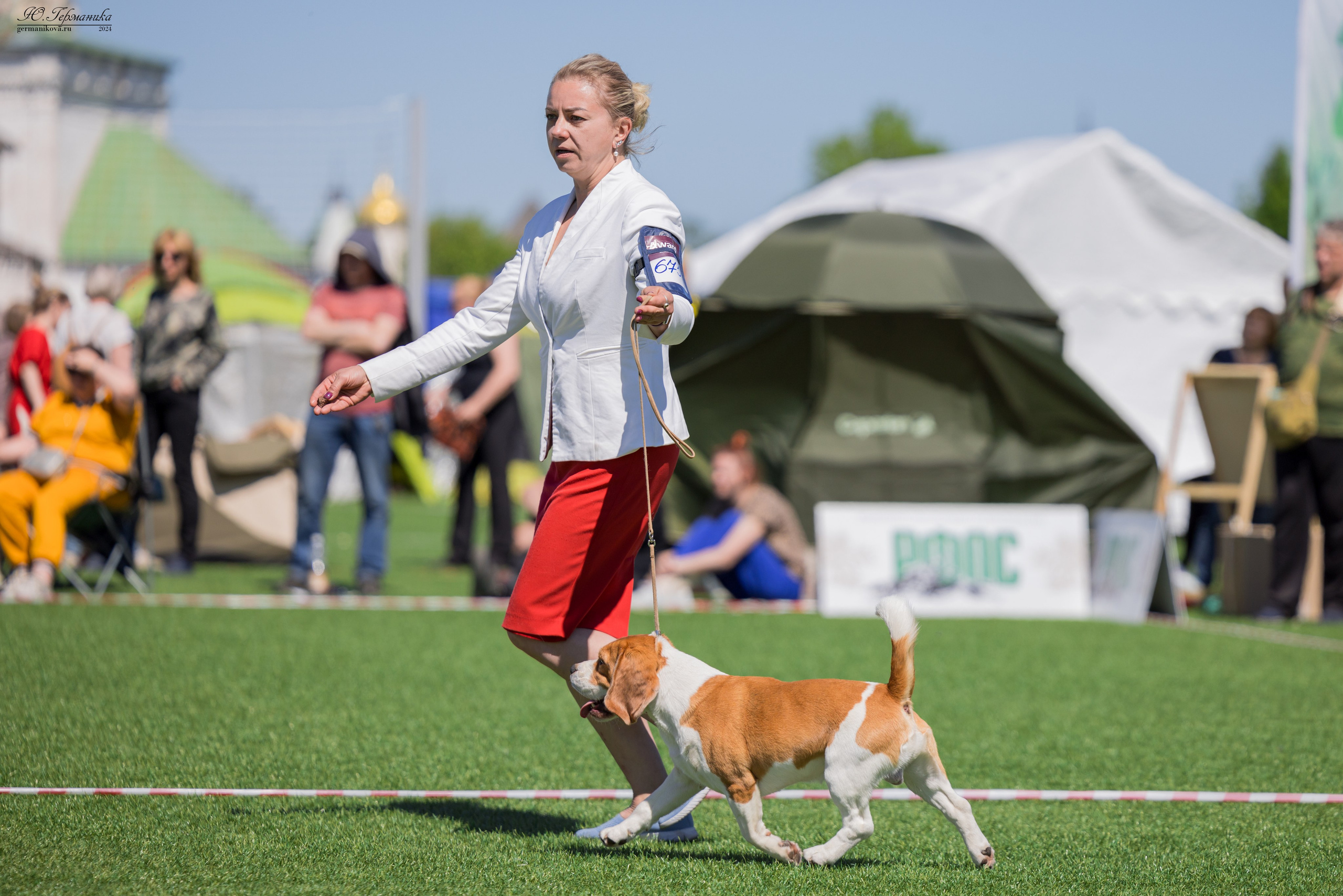 Суздаль 18-19.05.2024. Фотограф-анималист Юлия Германика