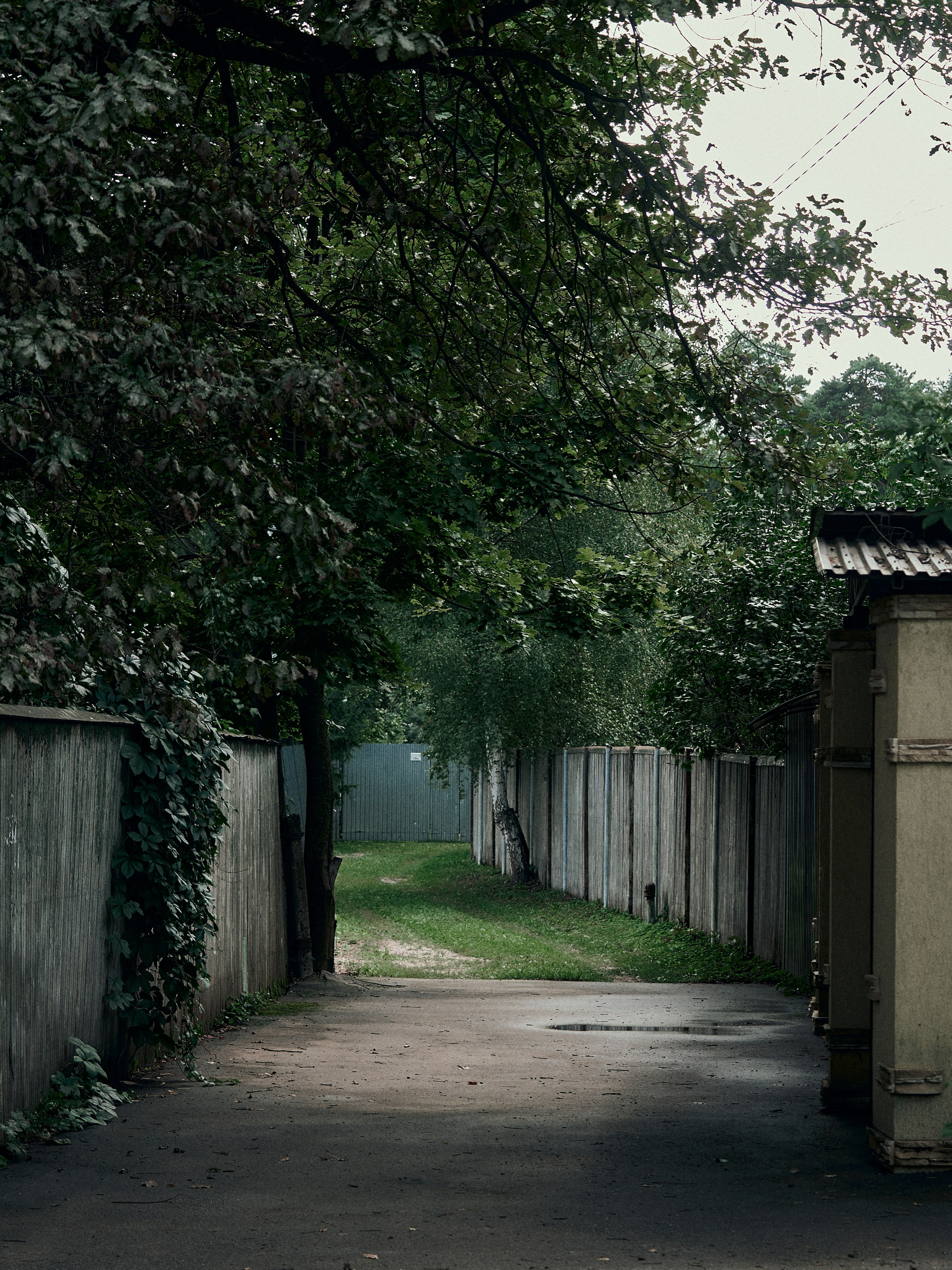 Street. Портретный фотограф в Москве