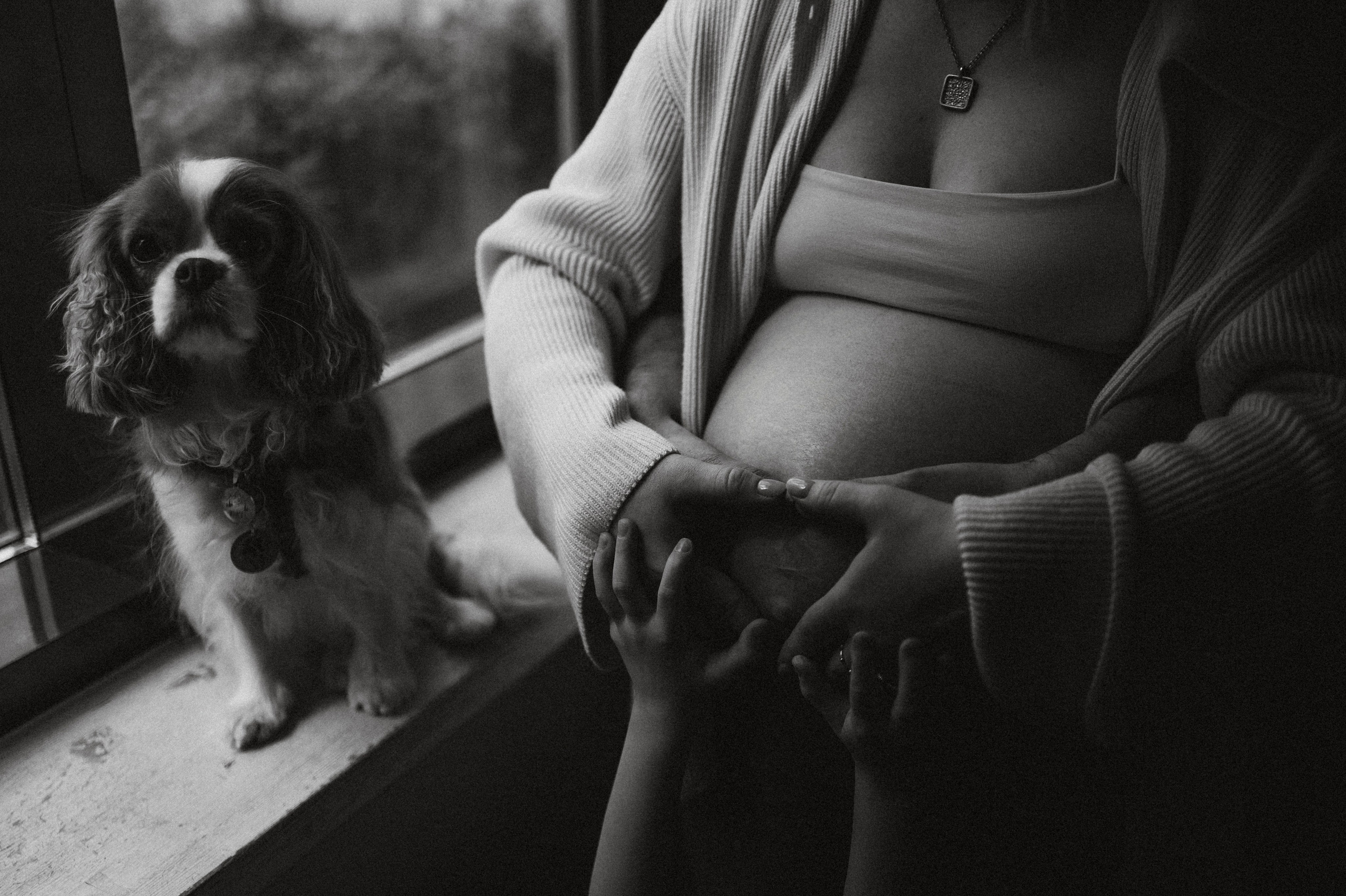 Валя, Вася, Аня и Ириска