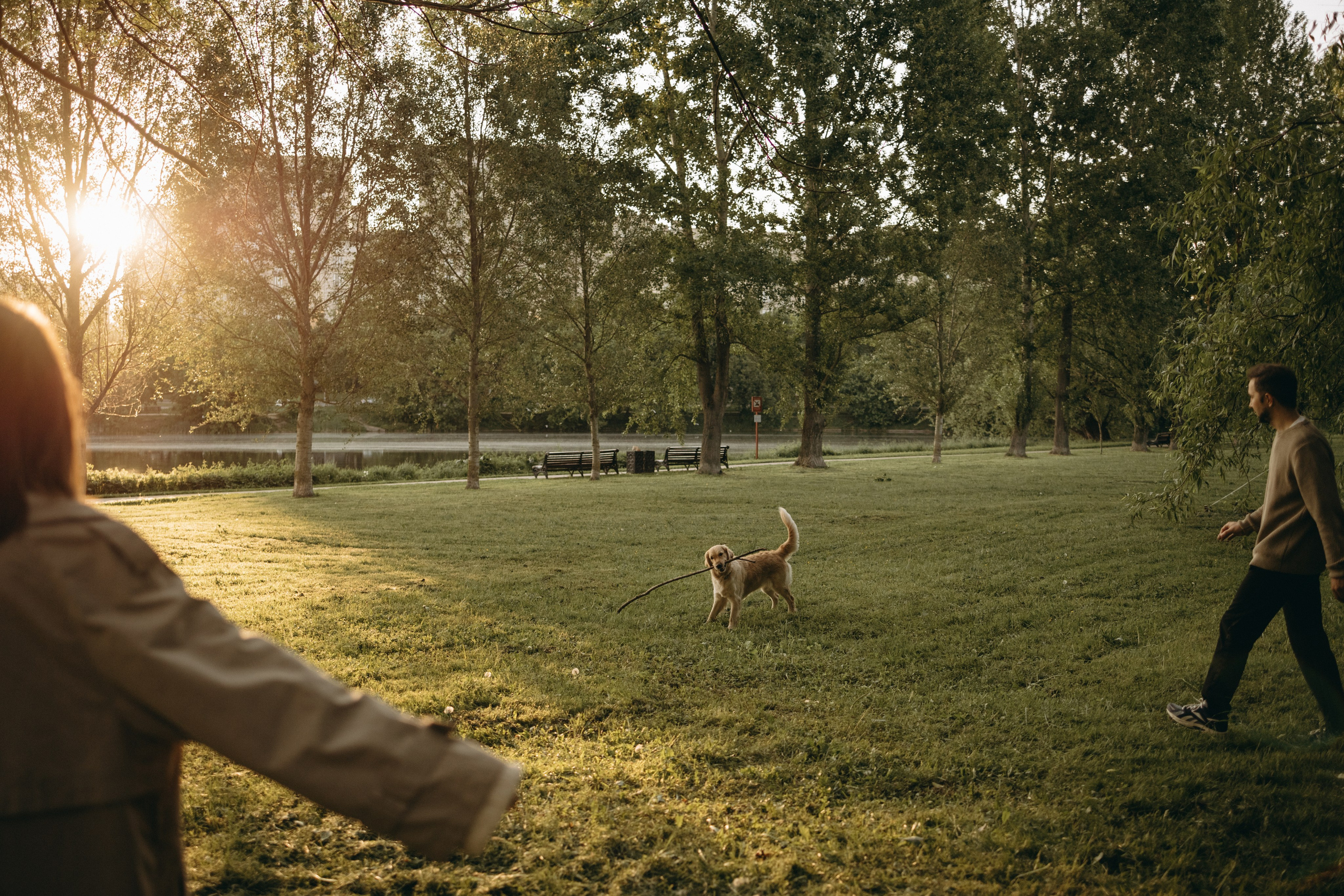 Пенни и ребята. Фотограф — Анималист | Санкт-Петербург