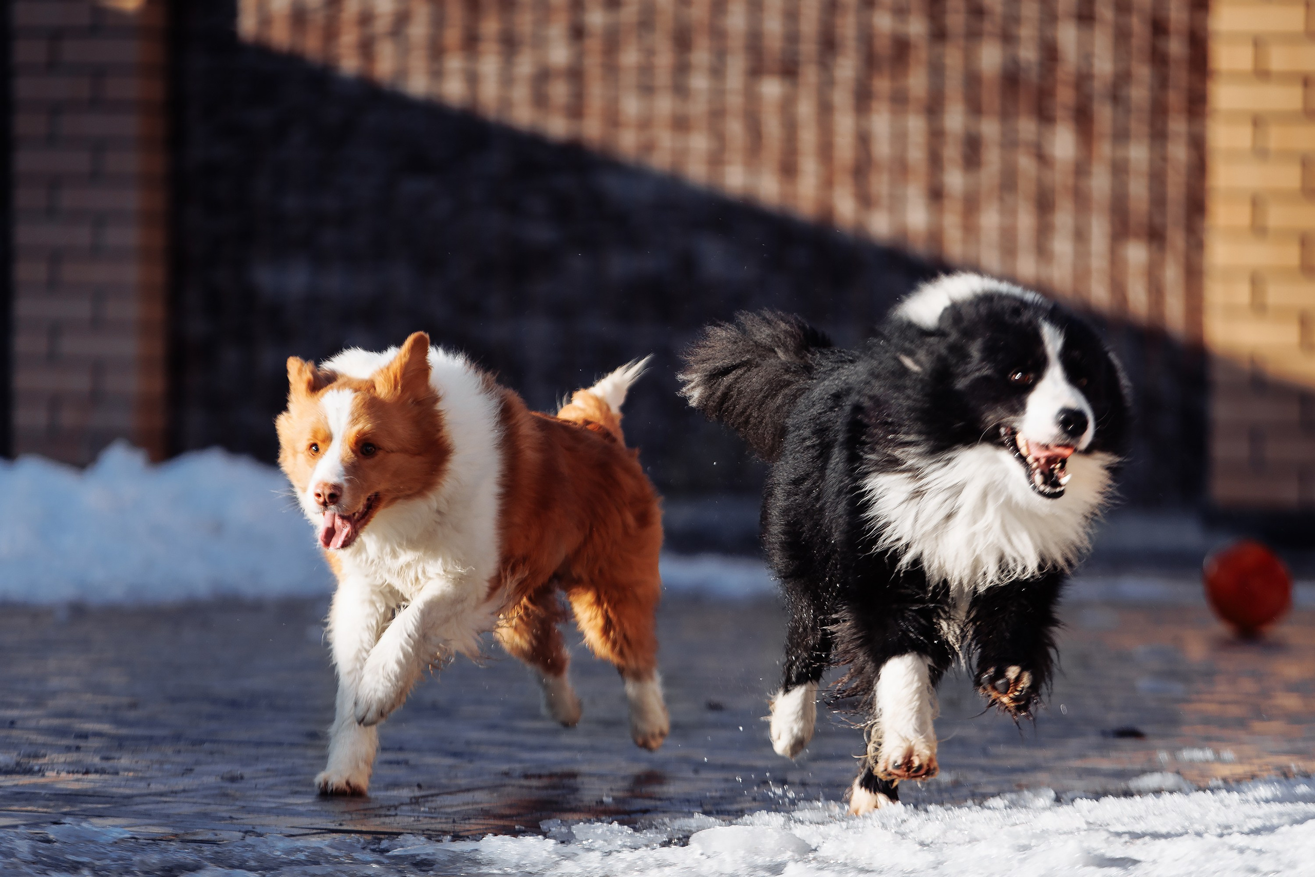 Пока таяло. О нас