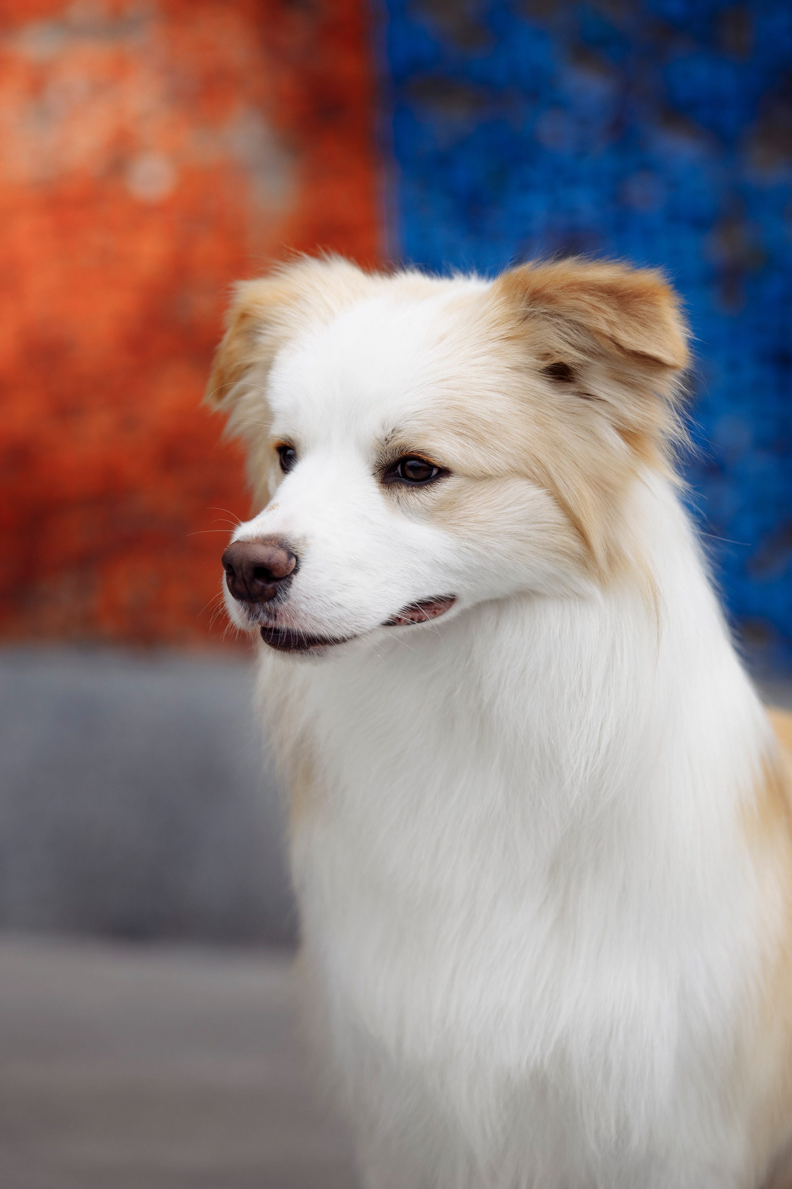 Магнитка 22. О нас