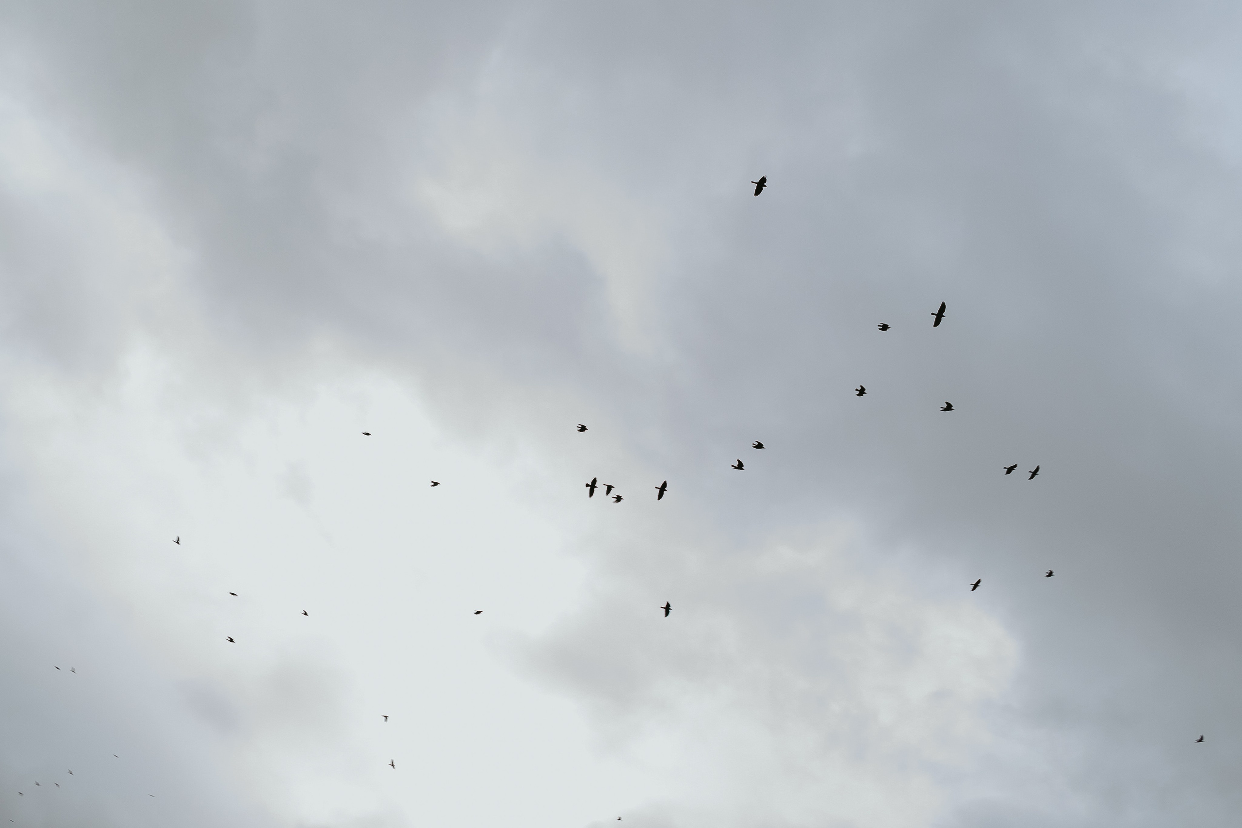 Саша. Фотограф Москва