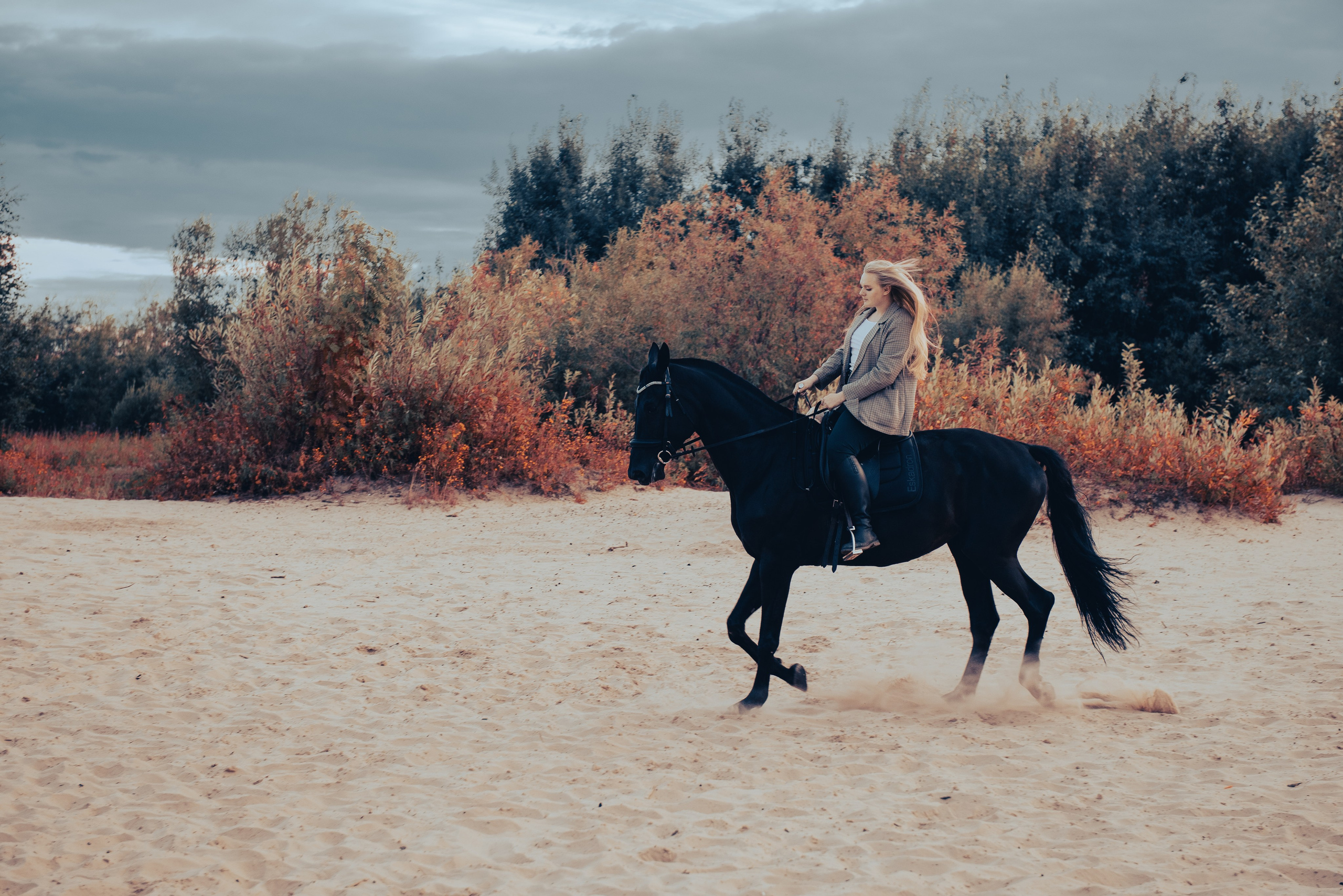Конная фотосессия