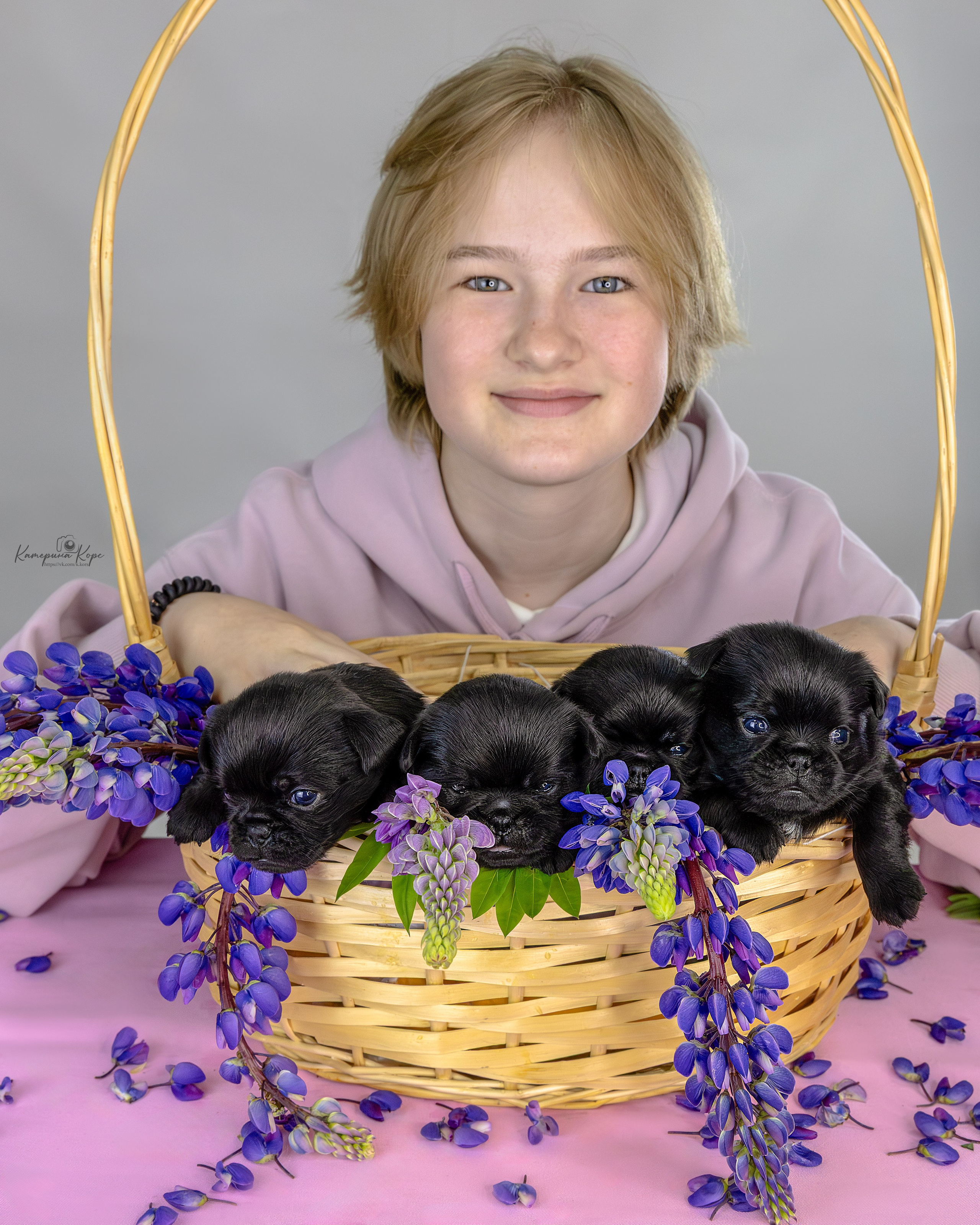 Птишки-малышки. Фотограф-анималист Катерина Корс