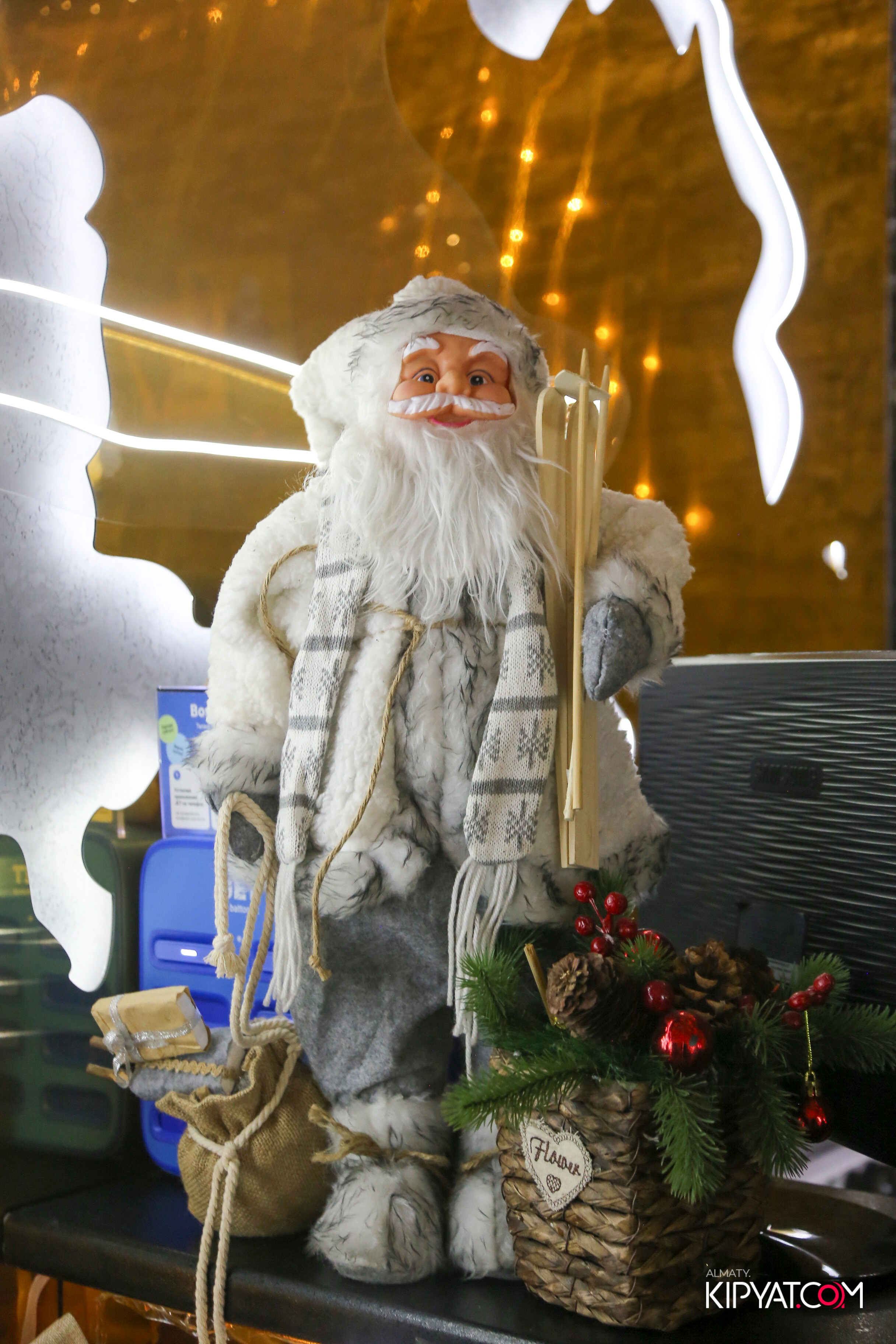 УХО И МЕДВЕДЬ НА САИНА. КИПЯТКОМ АЛМАТЫ! Фотосъемка мероприятий в Алматы