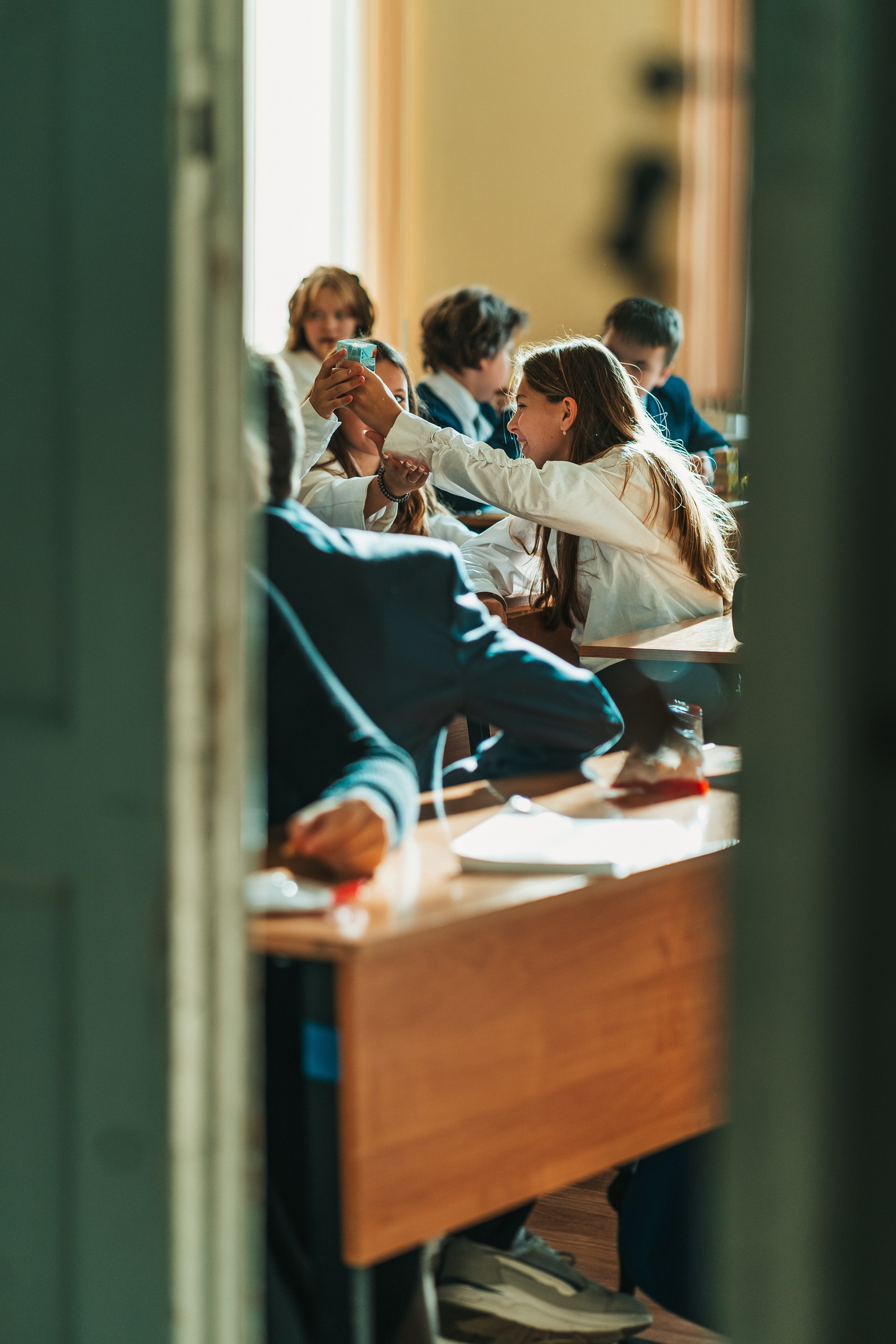 7 класс. Школьные альбомы и альбомы для детского сада. Юлия Осипова. Москва