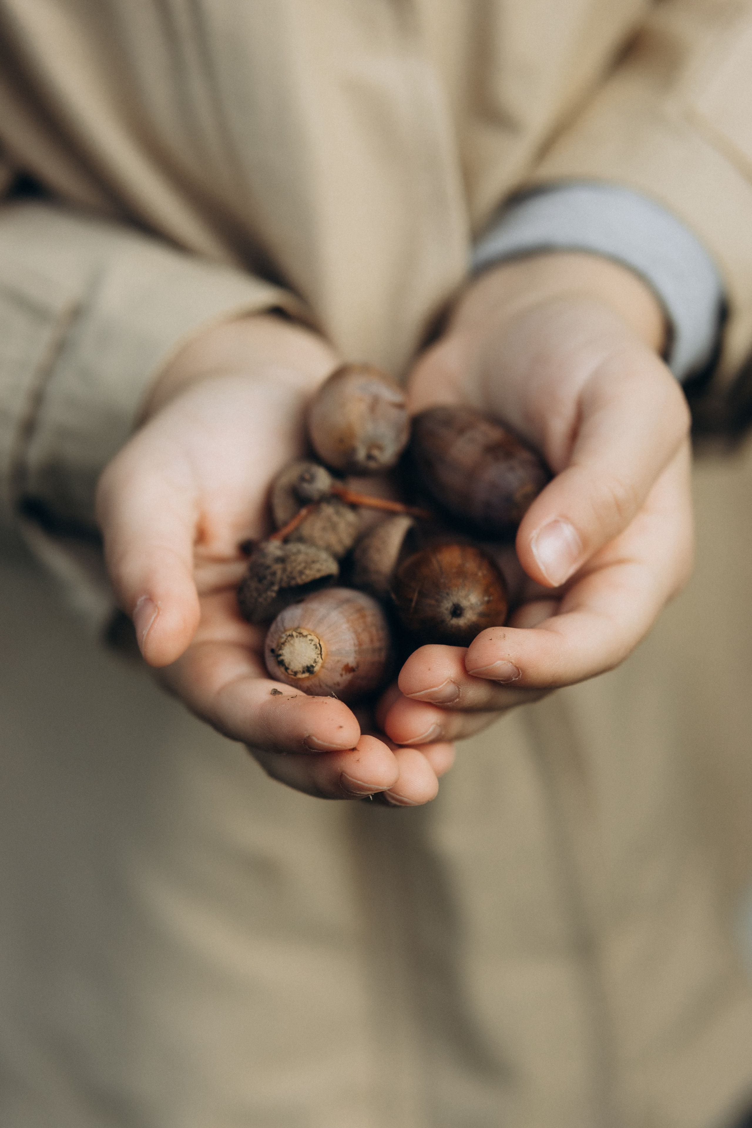 Осенняя семейная история 🍂. Фотограф Артем Бросов в Санкт-Петербурге и Дубае