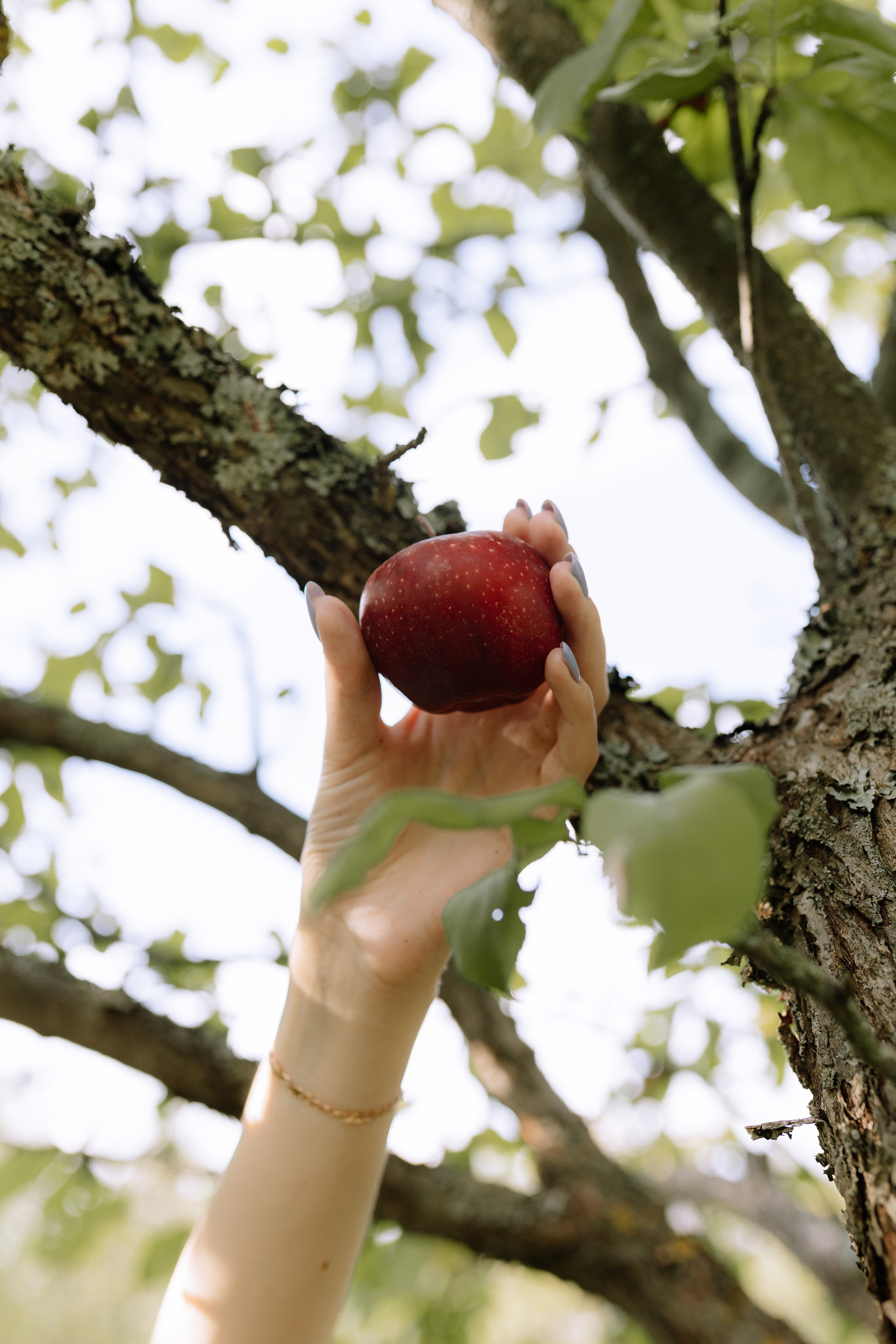 Кристина Щербакова. Фотограф Александра Кузнецова