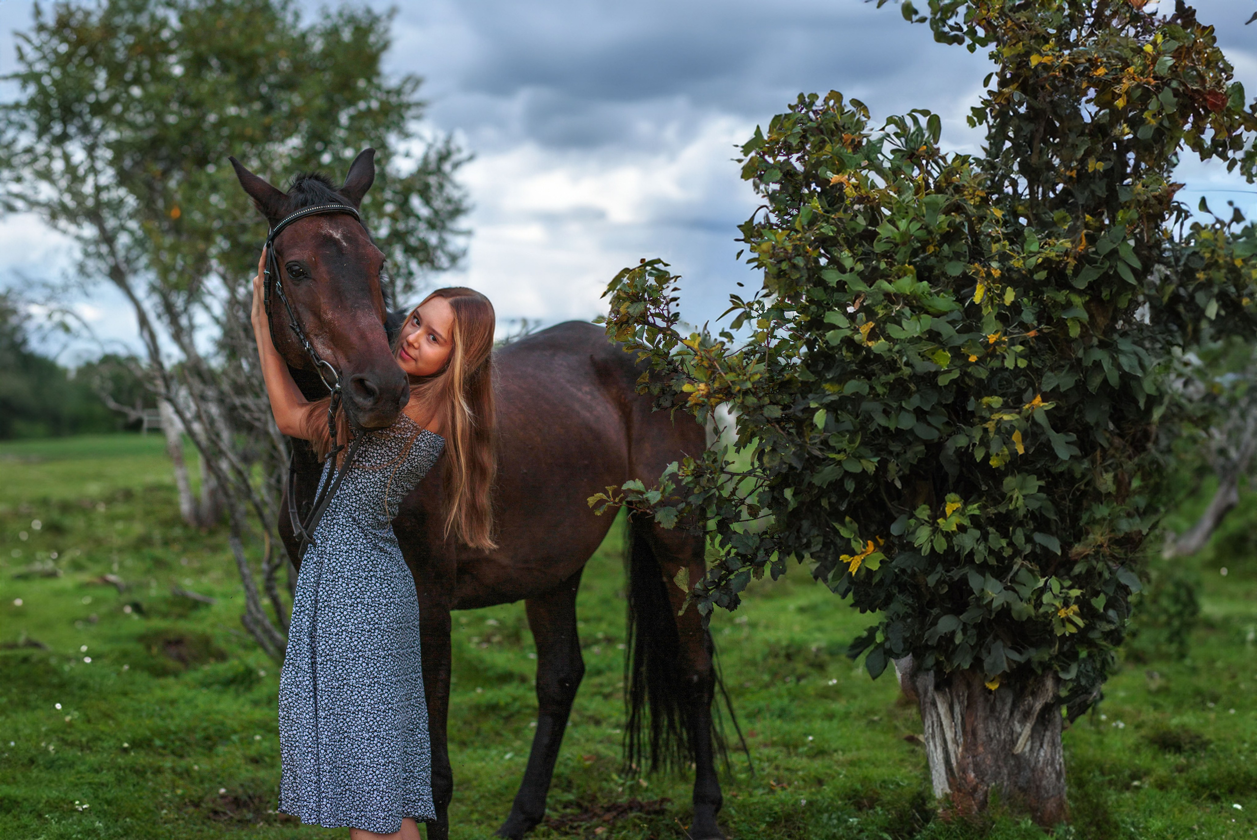 Конный двор. Конный фотограф в Красноярске — Любовь Похабова