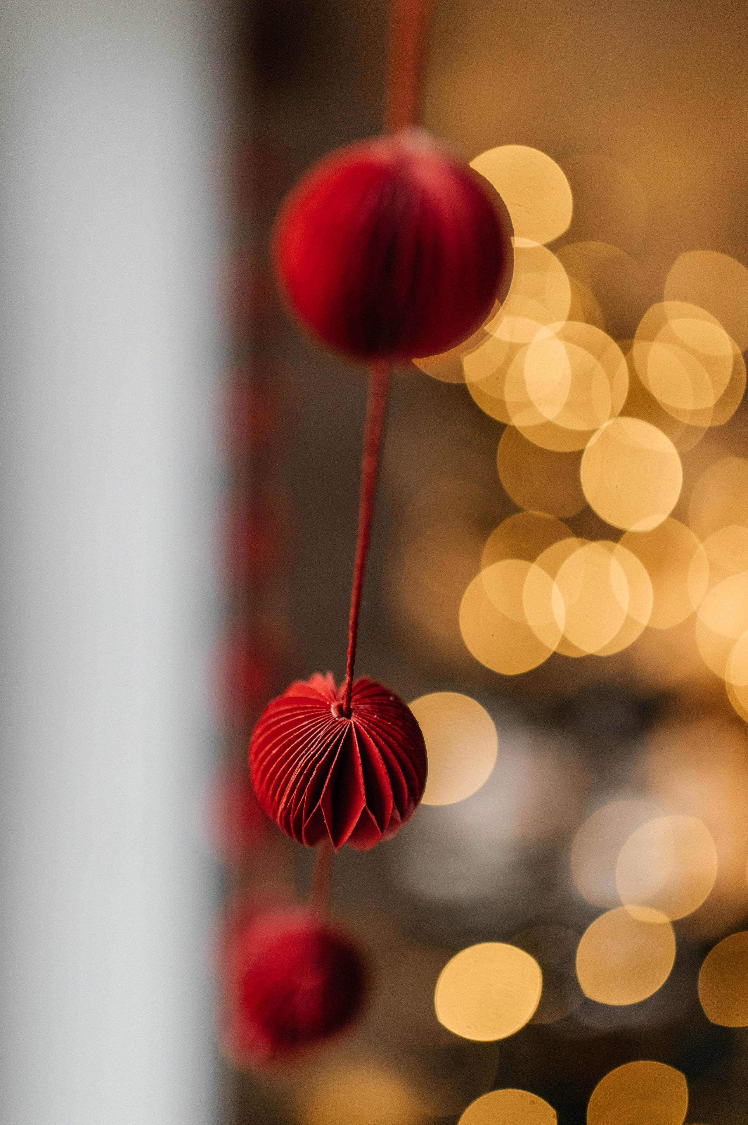 Настя+Витя+Катя+Степан+Нина. Костюшко Кристина — семейный и свадебный фотограф в Минске