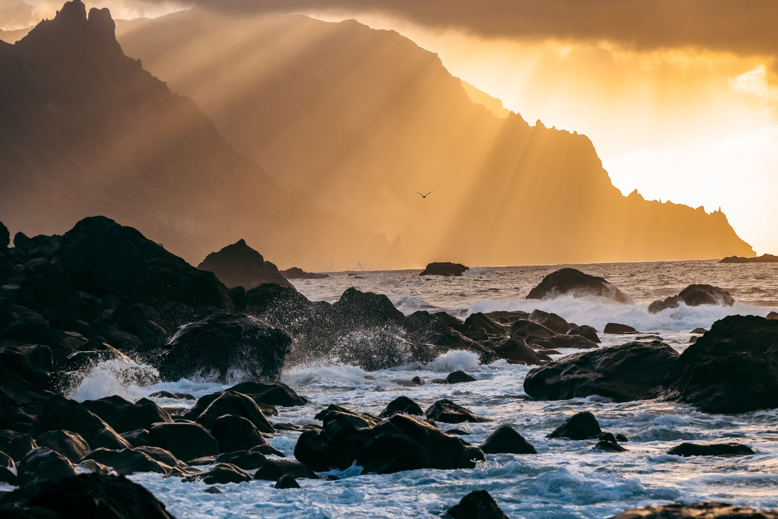 Тенерифе. Фотограф Виктория Волкова. Москва