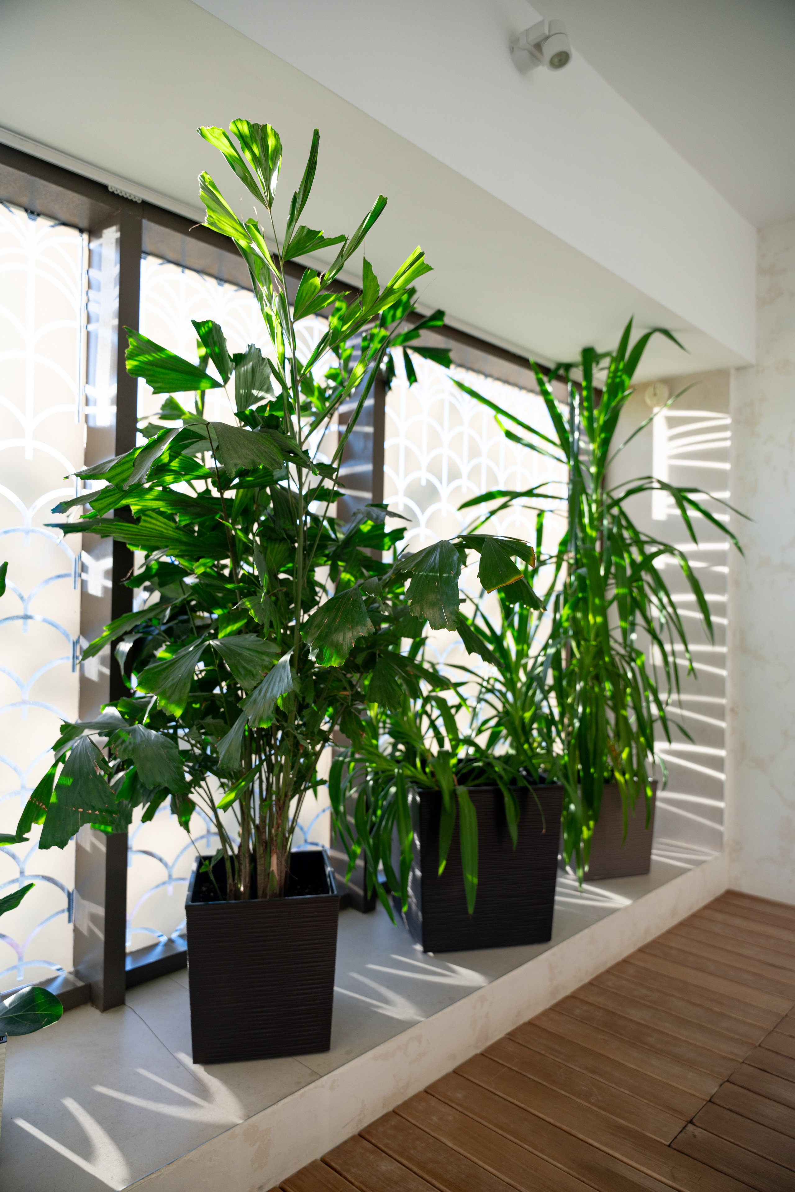 БУТА СПА. Фотограф на любое мероприятие