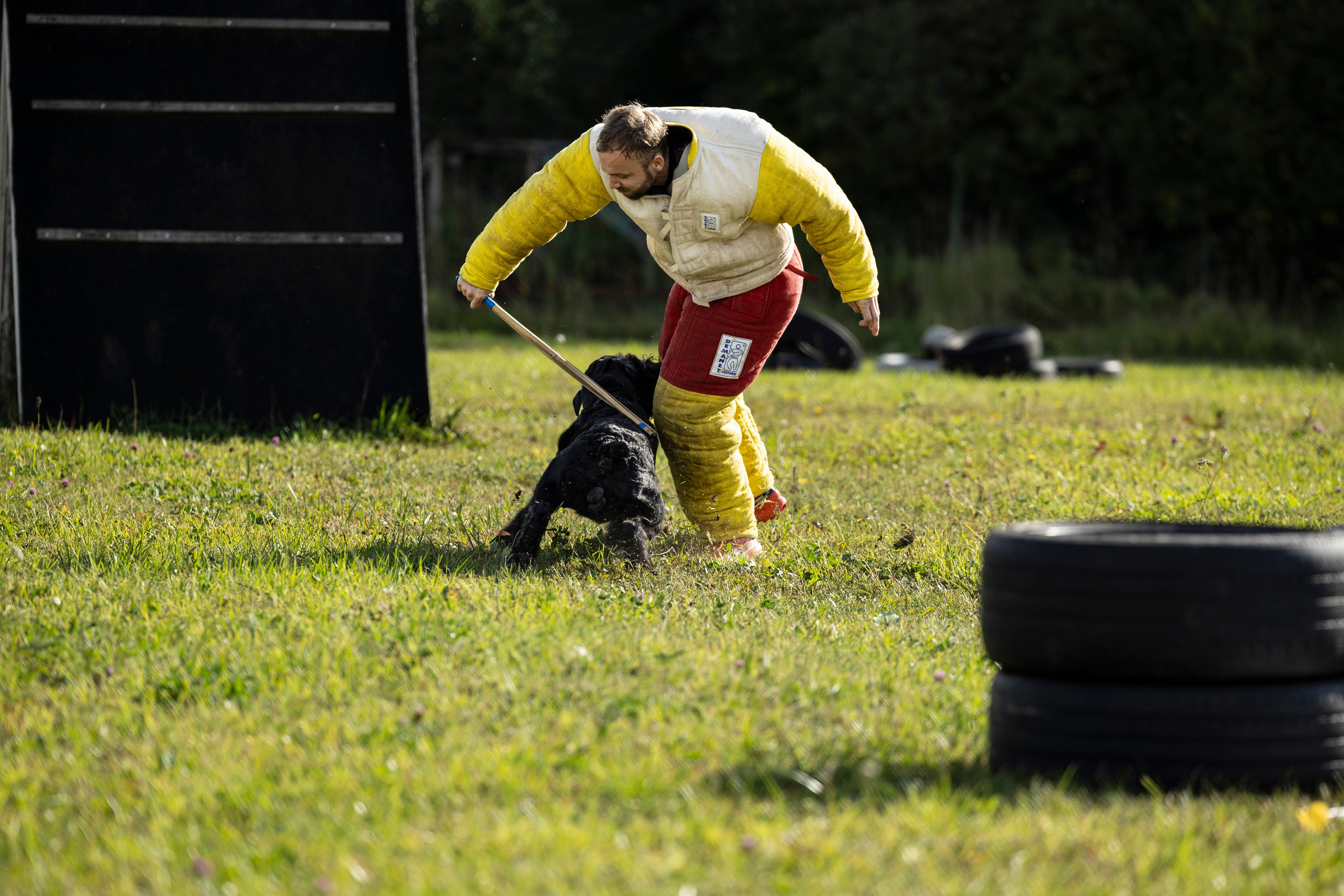 Испытания по Мондьорингу г. Пушкин. Фотограф-анималист Анна Маринич
