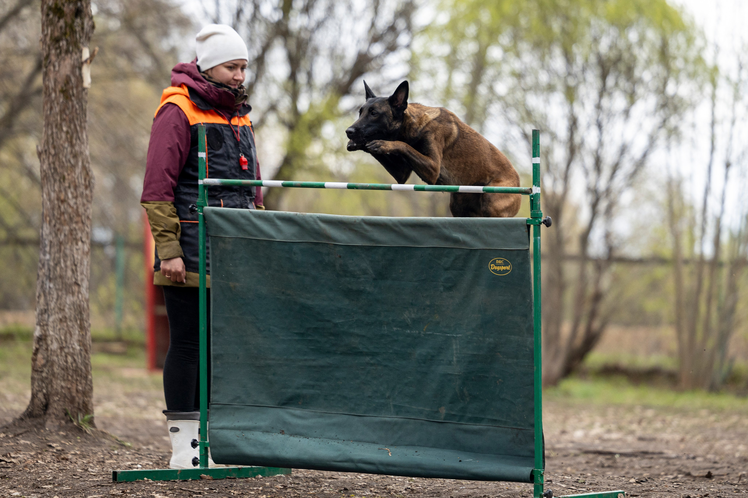 Квалификационные состязания по мондьорингу г. Вологда 11.05.24. Фотограф-анималист Анна Маринич