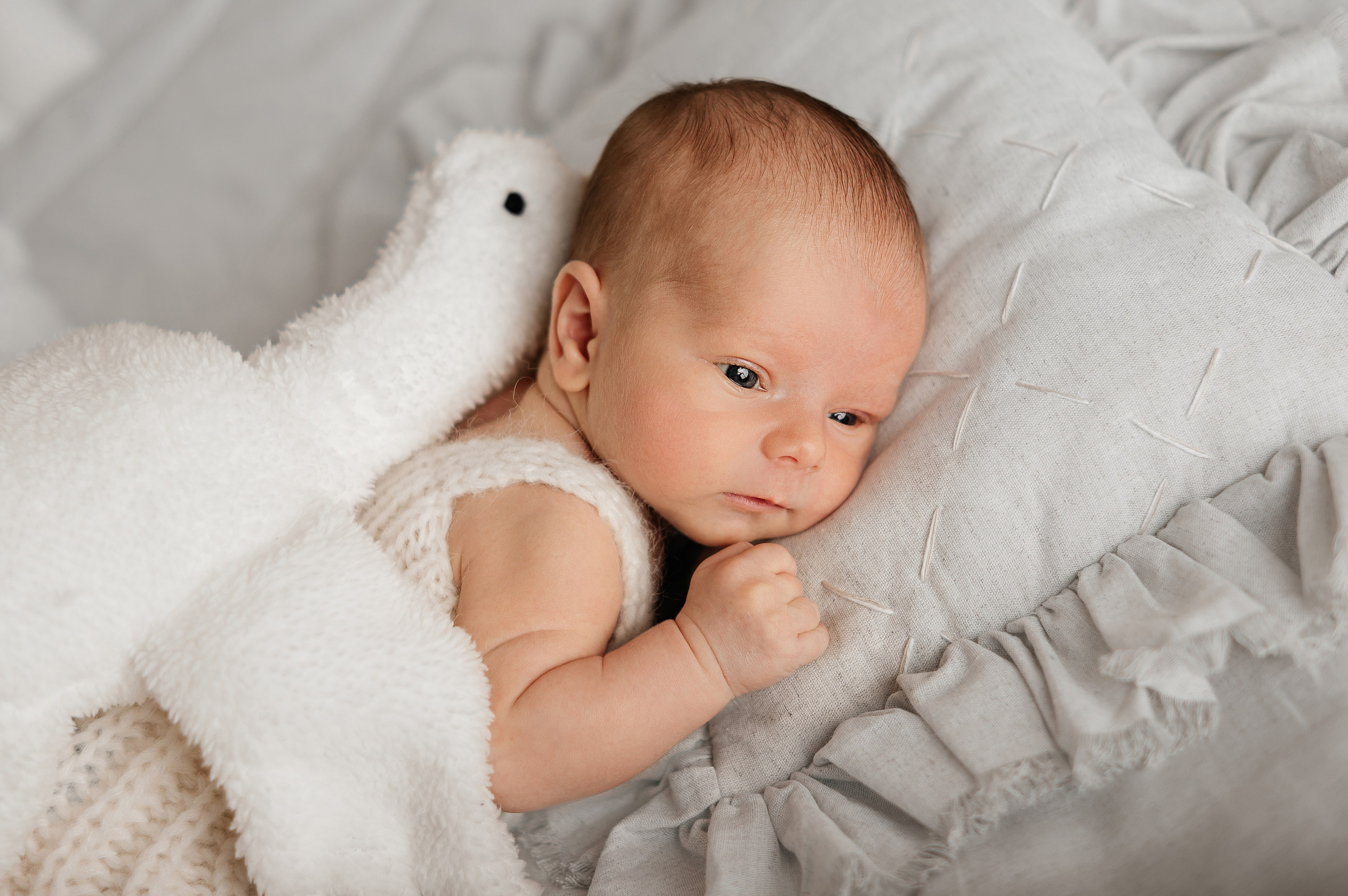 Максим. Свадебный и семейный фотограф Кореновск/Краснодар