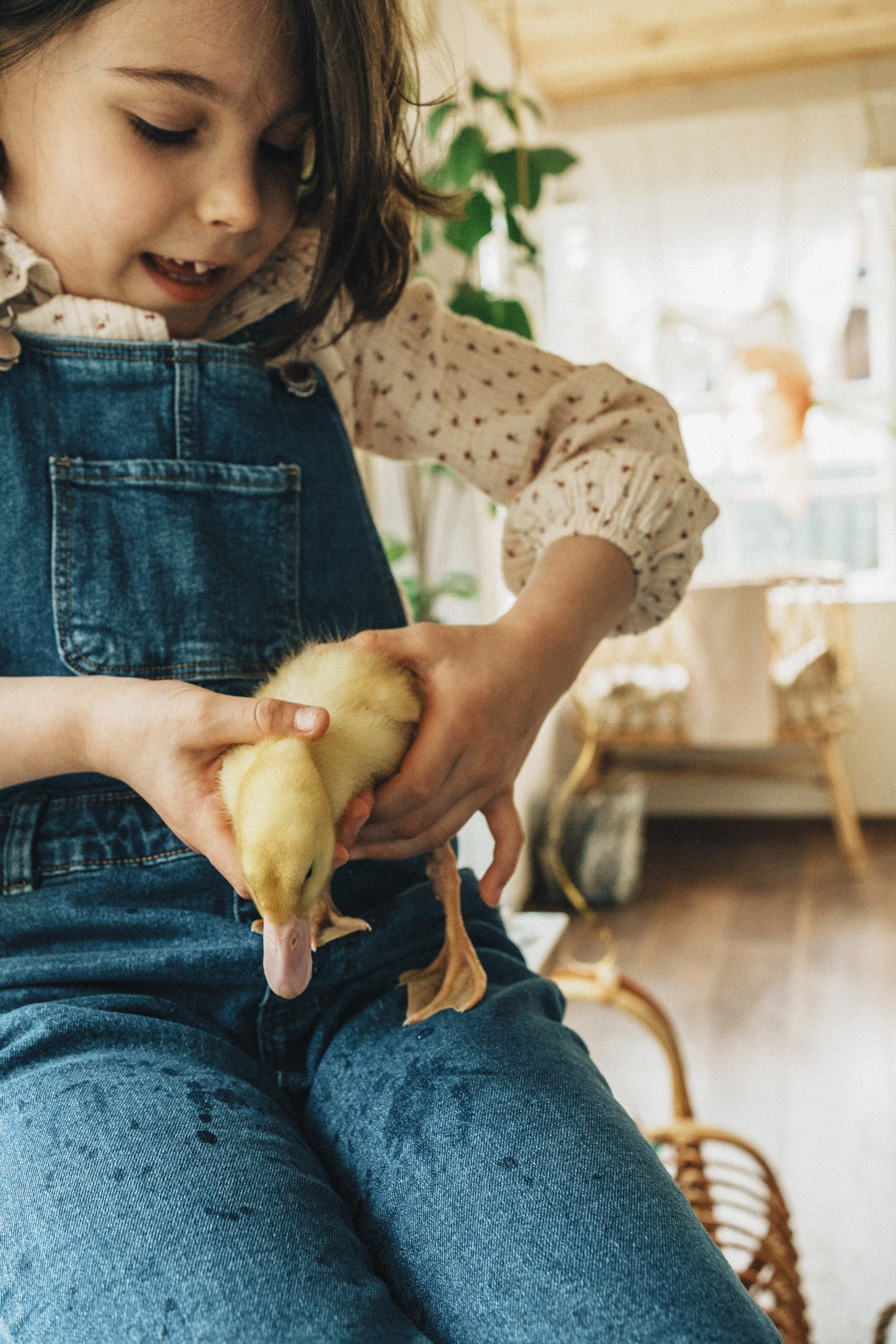 Детки & утятки на Green dacha. Семейный и детский фотограф и видеограф в Москве, Серпухове и Тарусе Валерия Сорокина