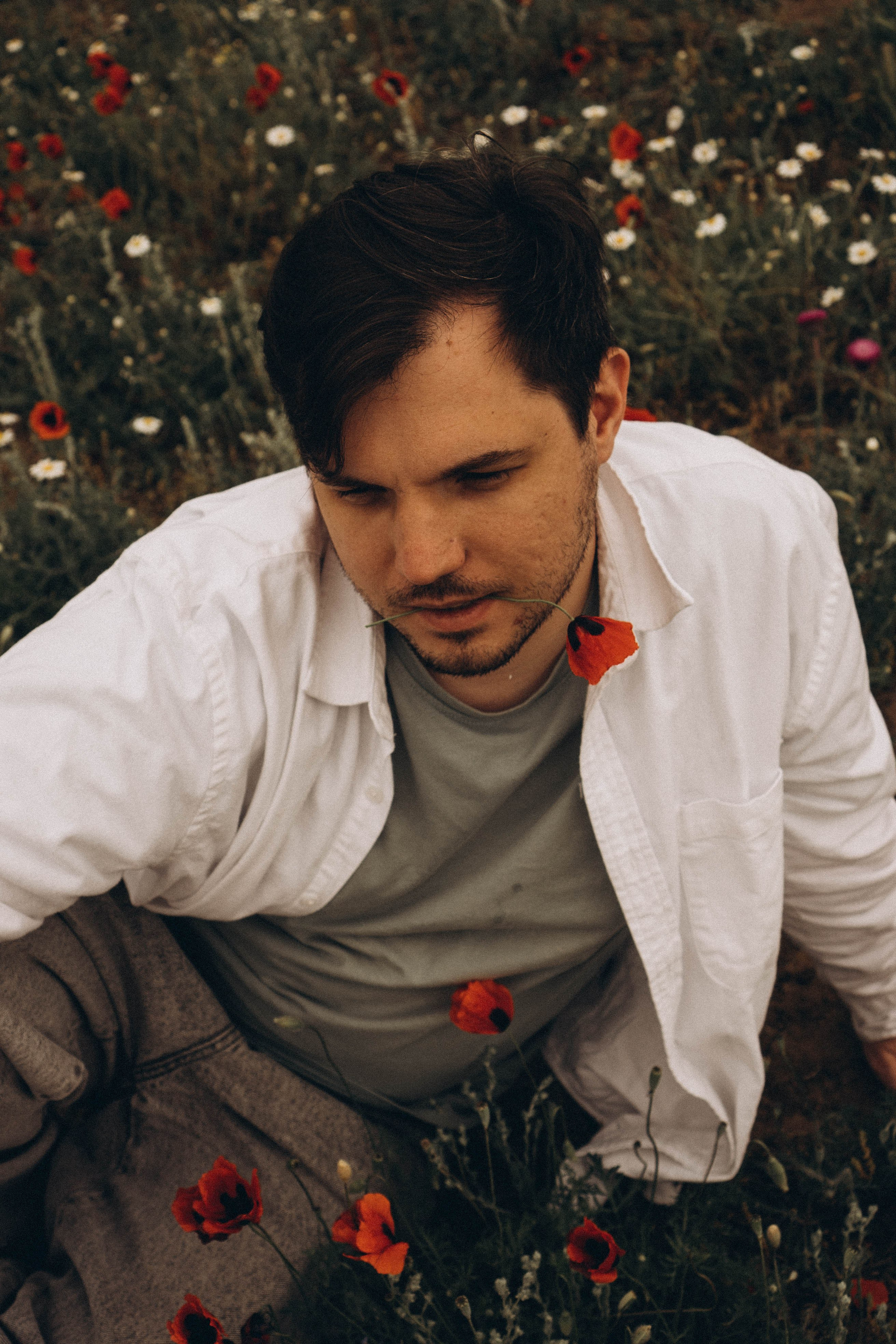 Маки. Профессиональный фотограф, Санкт-Петербург — Виктория Богомолова