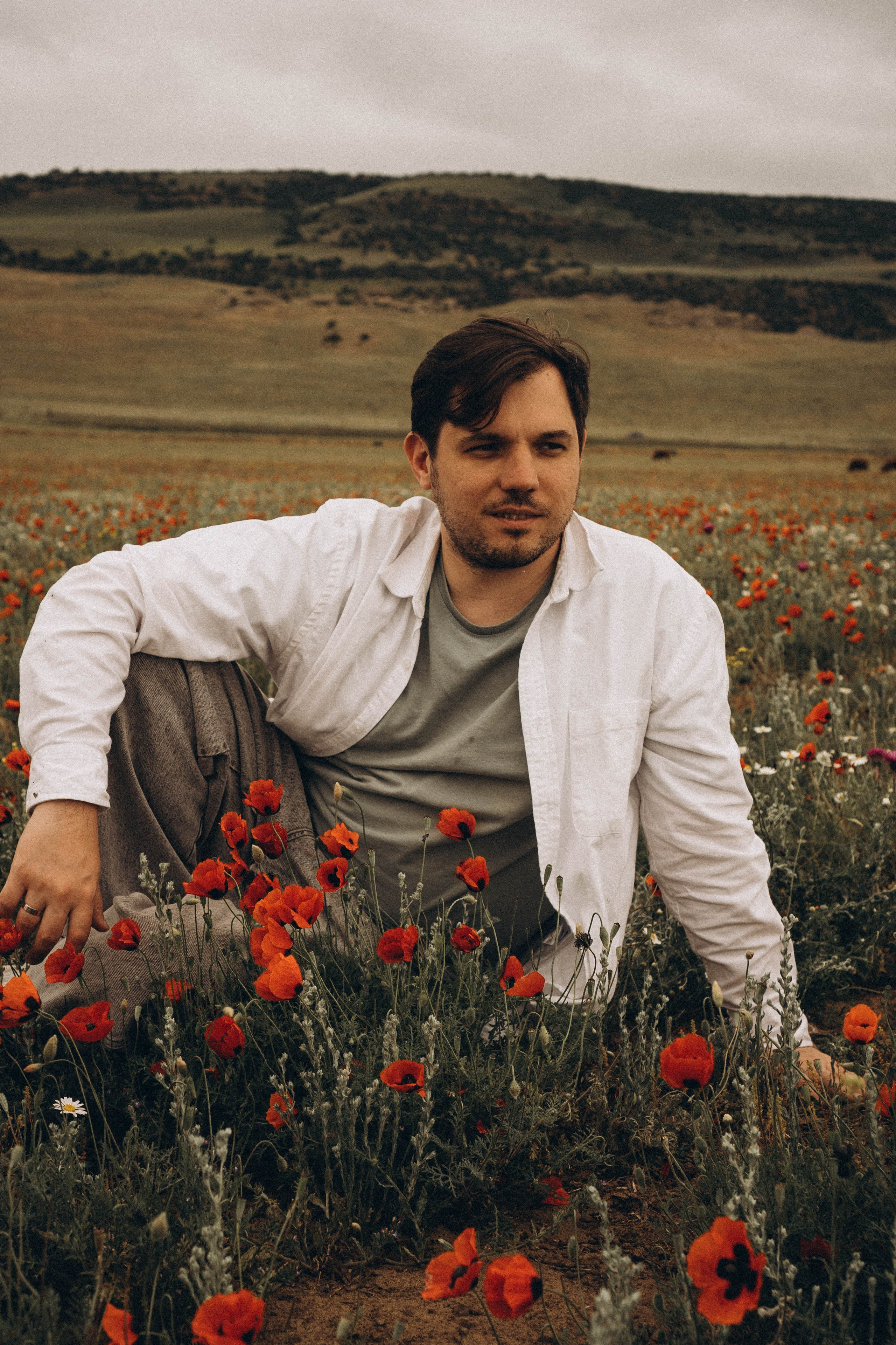 Маки. Профессиональный фотограф, Санкт-Петербург — Виктория Богомолова