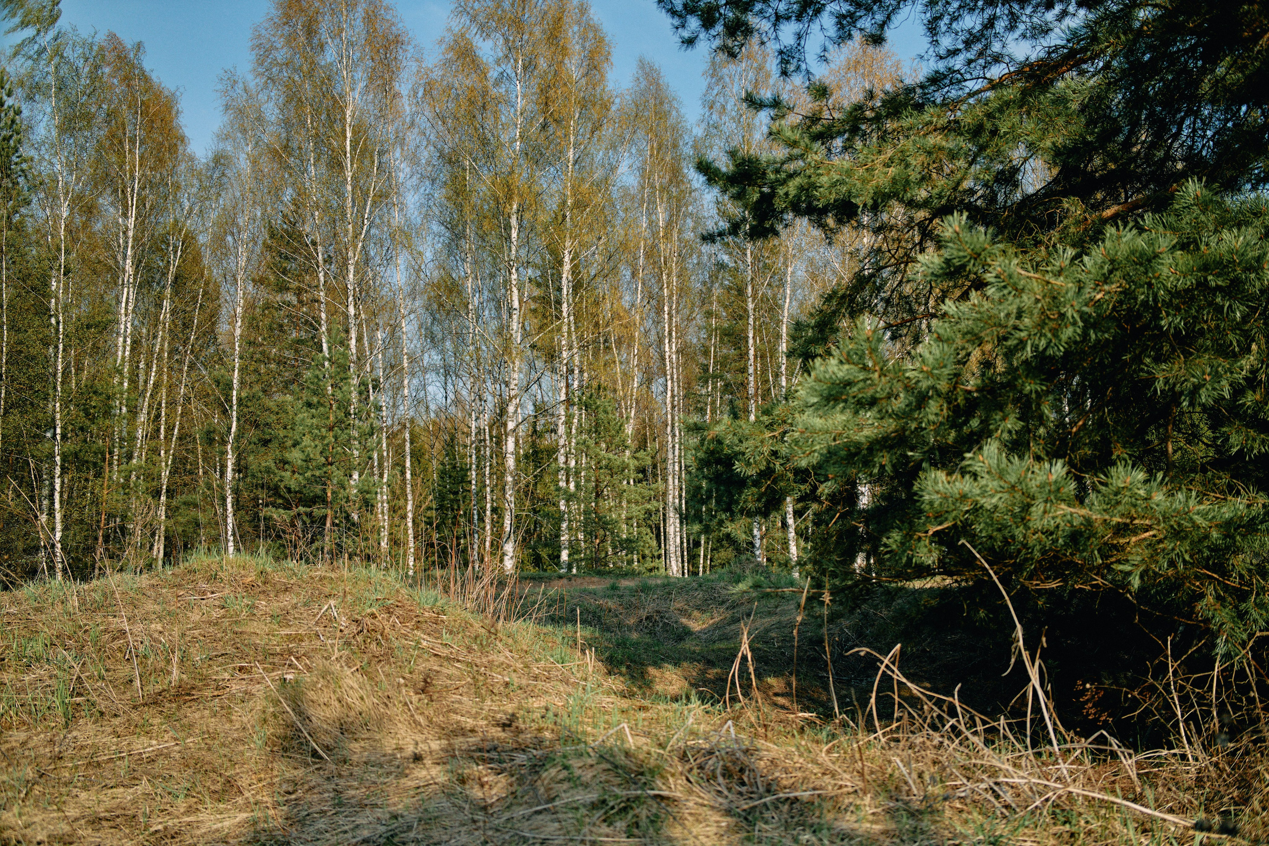 Бутик-отель Поле летом. Профессиональный Фотограф во Владимире, в Москве и в Суздале — Полина Романычева