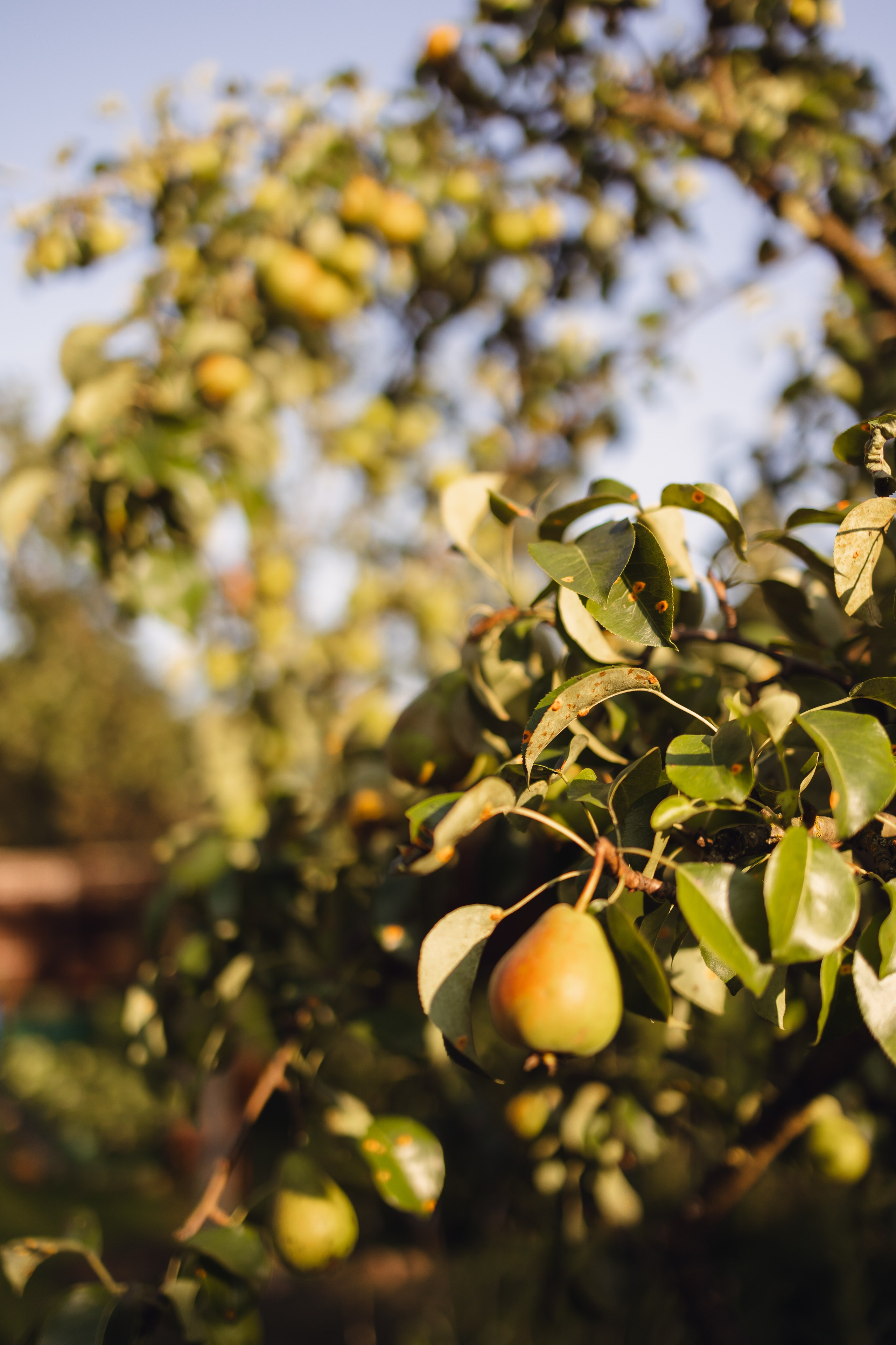 Анна, Михаил, Федя и Боря. Фотограф Печерская Анастасия
