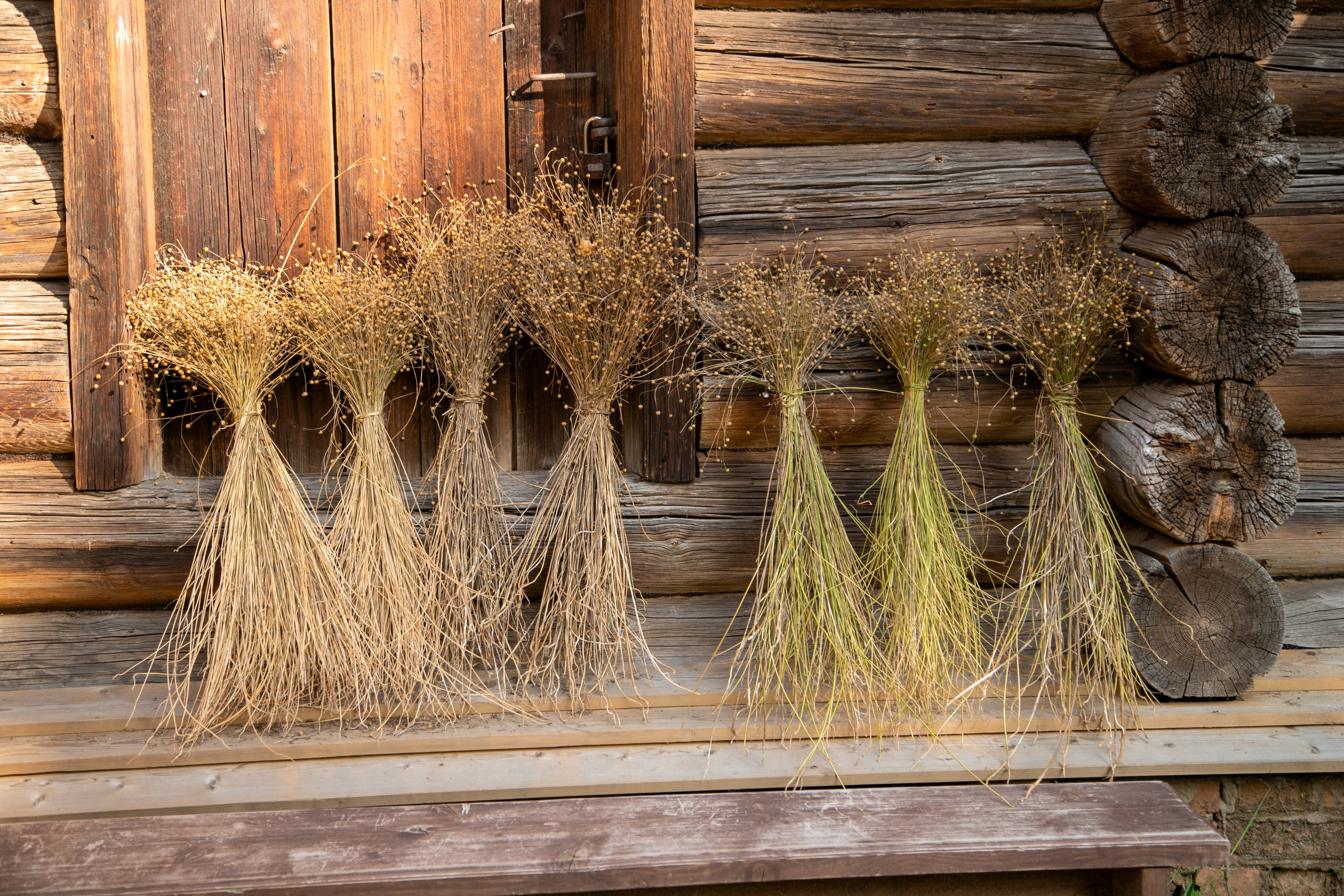 Кострома 06.09.2025. Репортажный фотограф в Москве Агафонова Мария