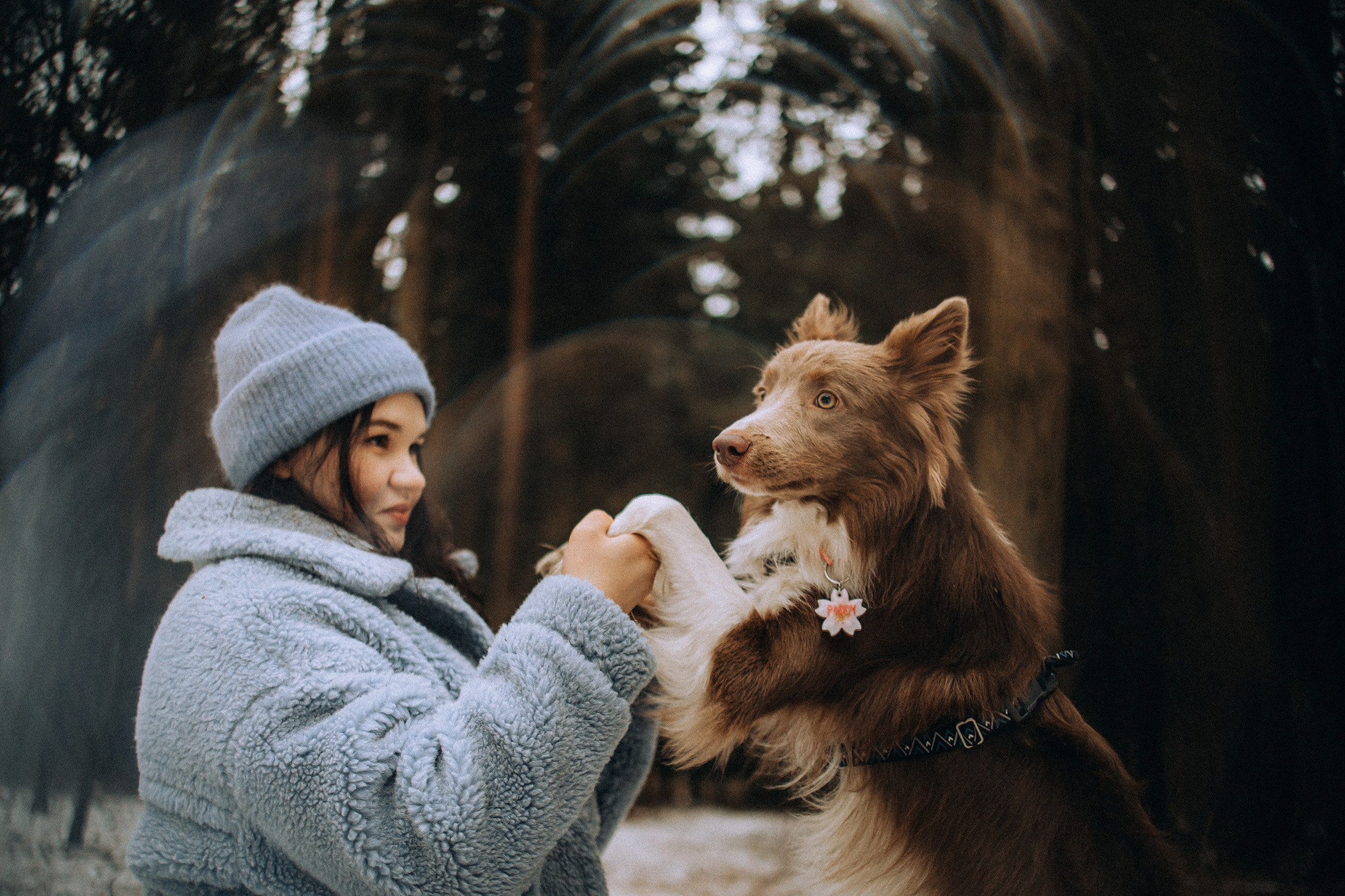 Полина, Милли и Паддингтон