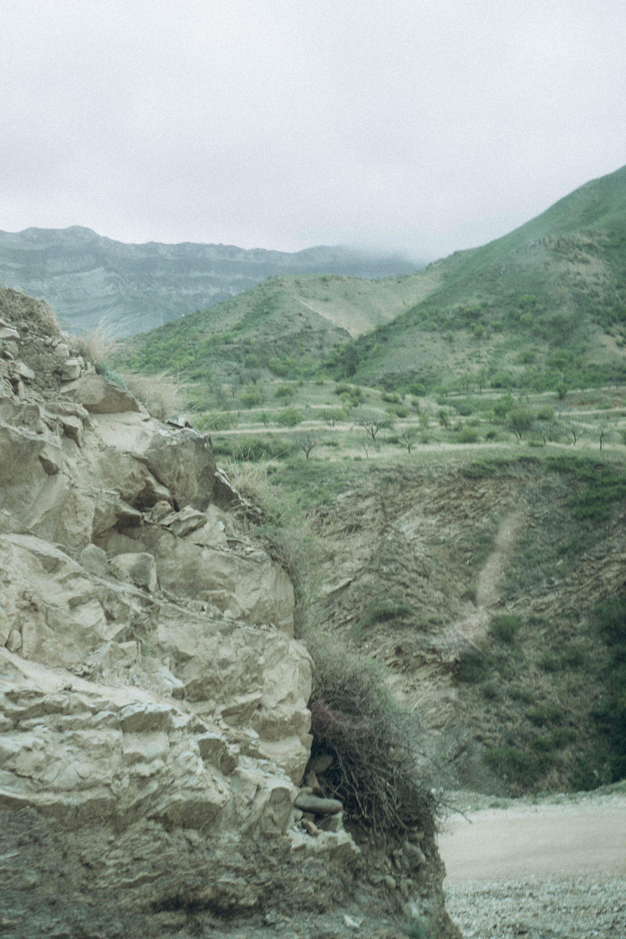 Кавказ. Профессиональный фотограф, Санкт-Петербург — Виктория Богомолова