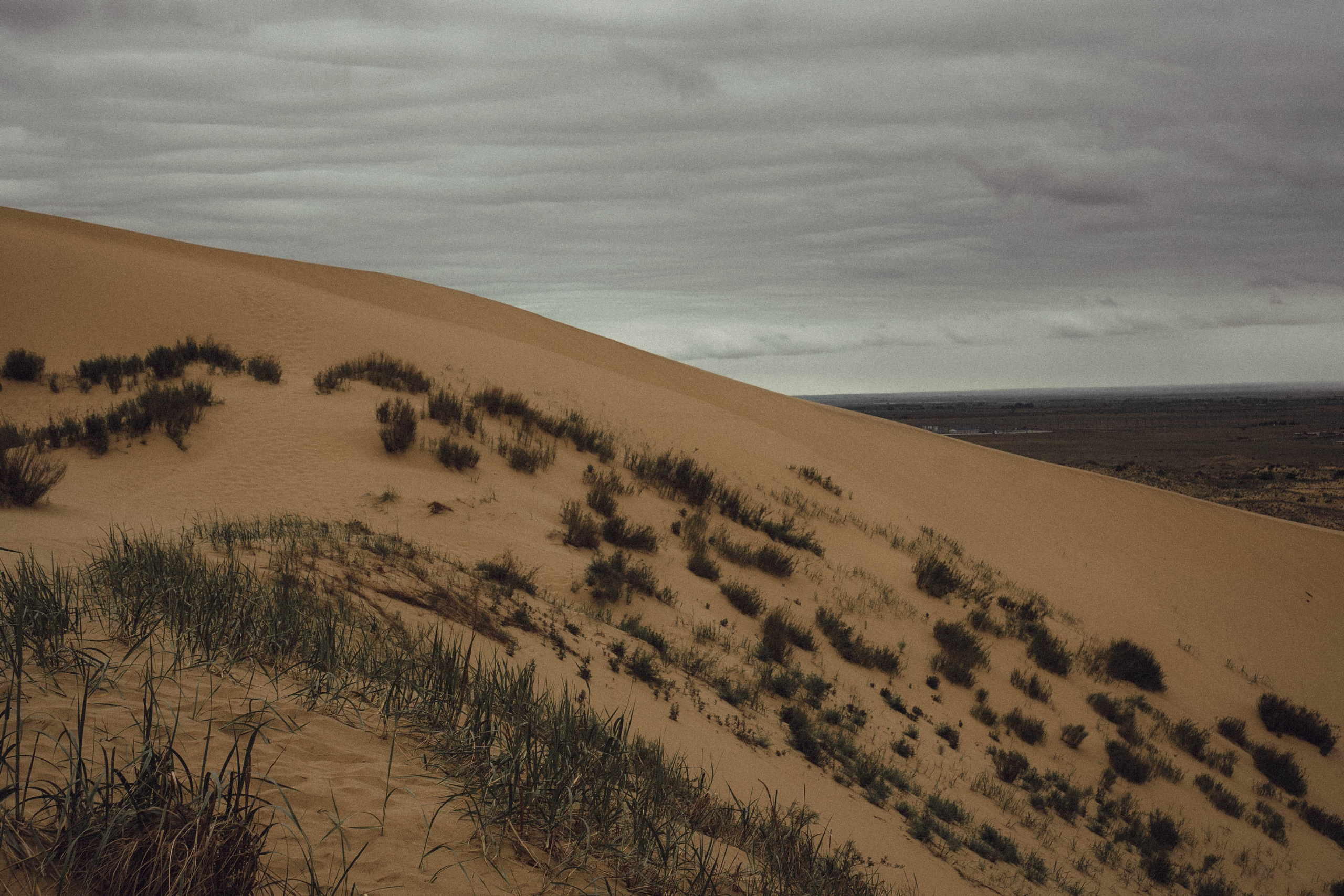 Кавказ. Профессиональный фотограф, Санкт-Петербург — Виктория Богомолова