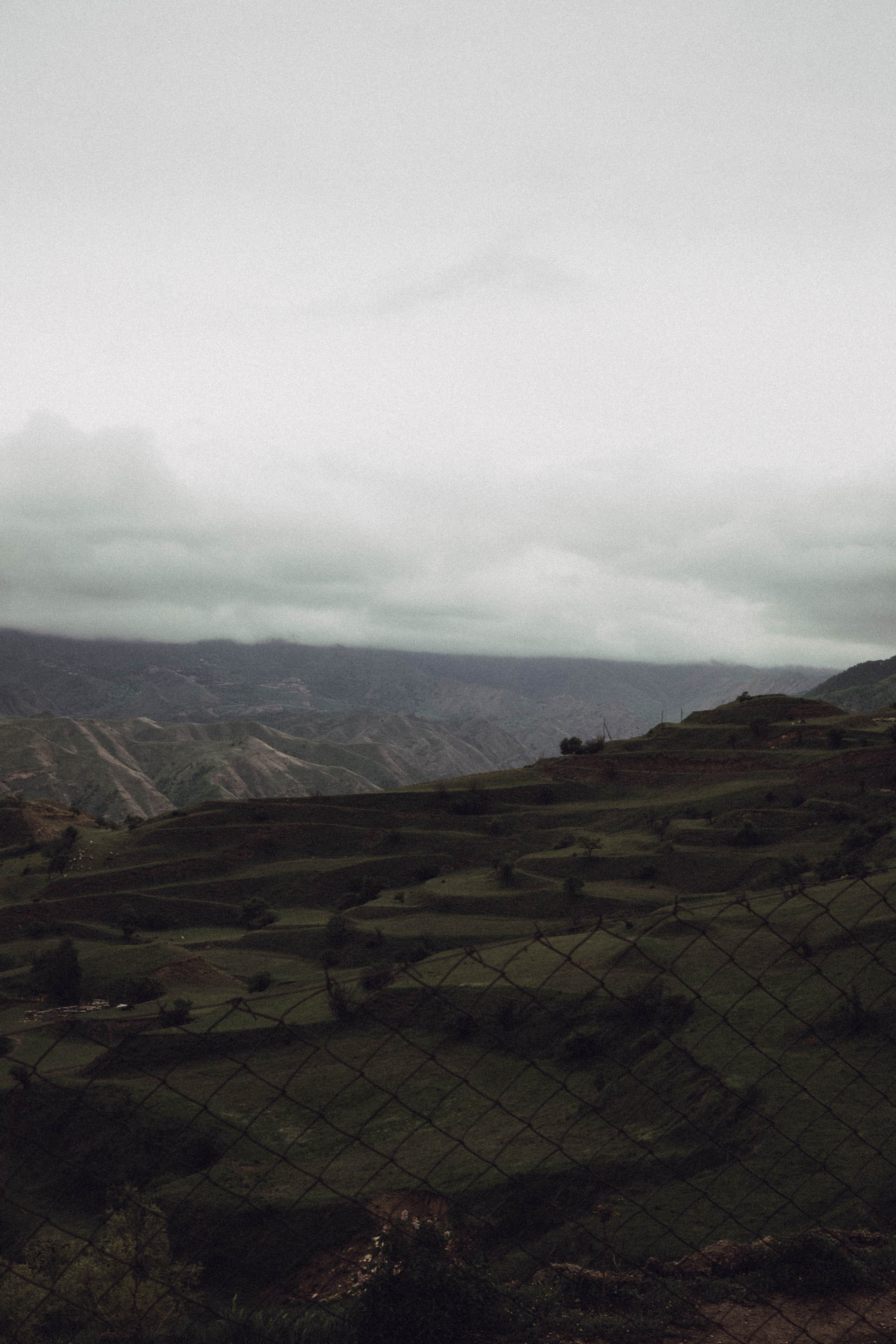 Кавказ. Профессиональный фотограф, Санкт-Петербург — Виктория Богомолова