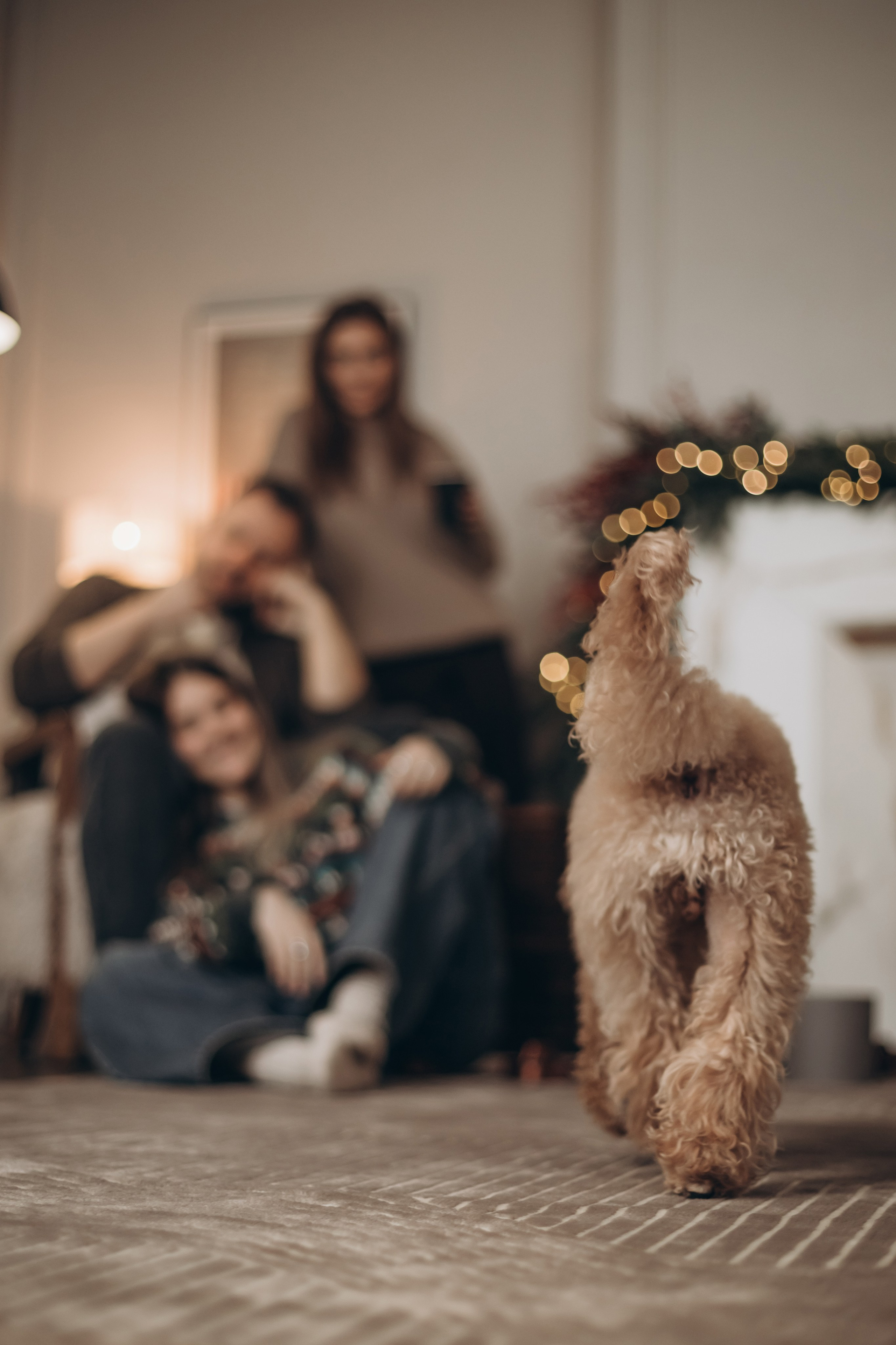 Уютный ноябрь. Семейный фотограф в Брянске Зурилина Екатерина