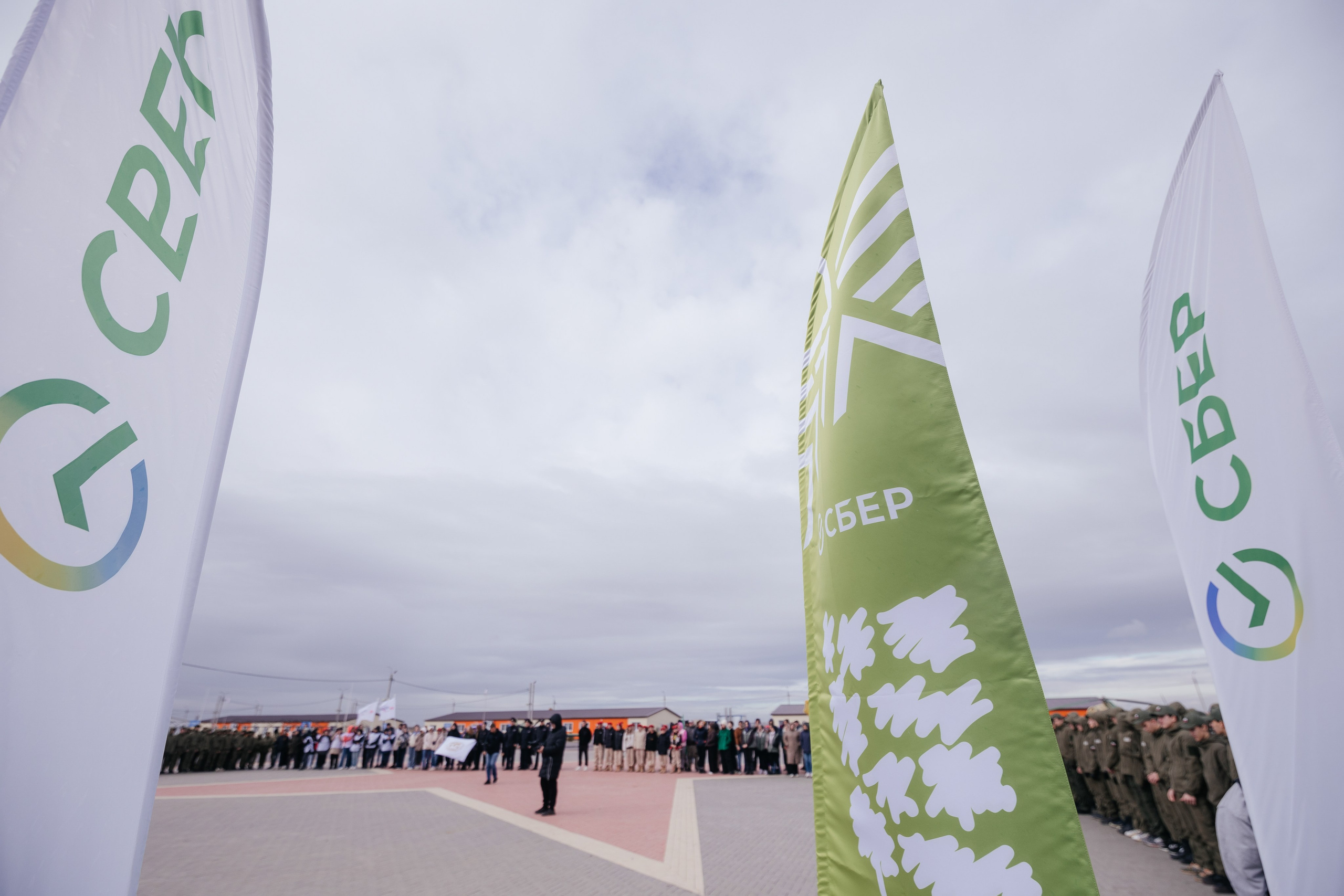 Сохраним лес. Фотограф Крохин Олег