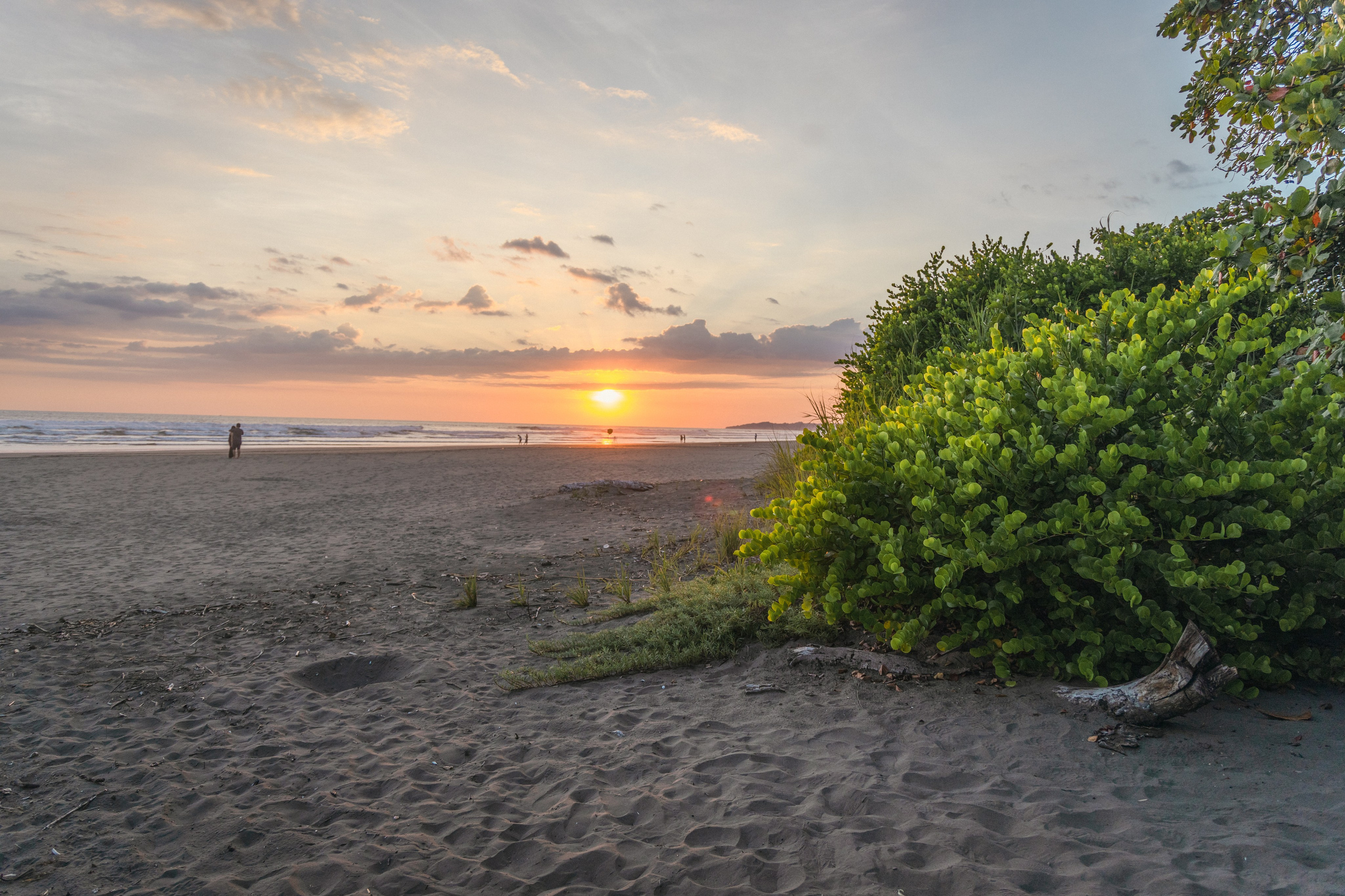 Ocean lovely moments. Family, portrait, content photo in Costa Rica Evgeniya Besprozvannykh