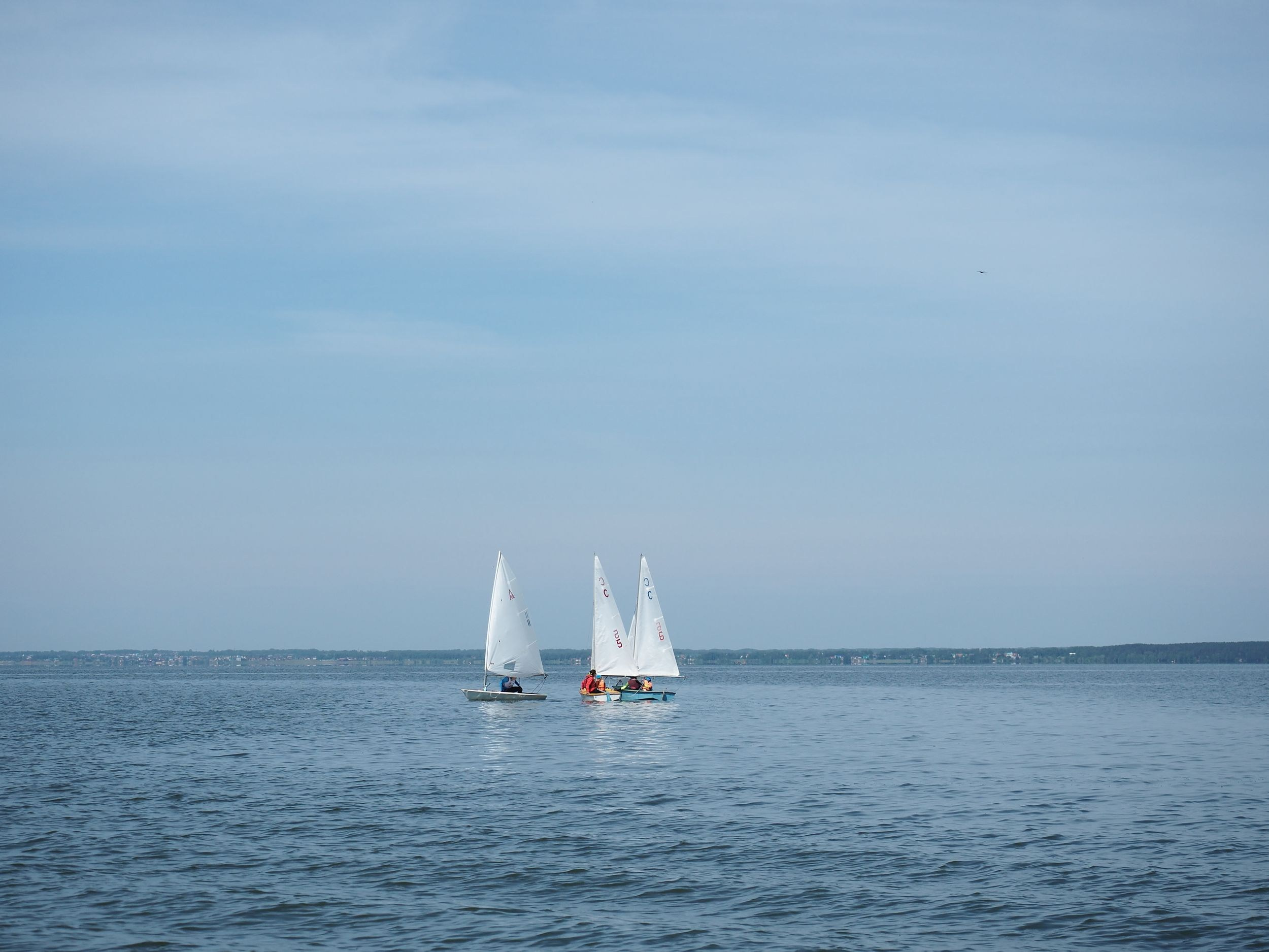 Алый парус 2023. Портретный и спортивный фотограф в Новосибирске и Твери Кононов Алексей