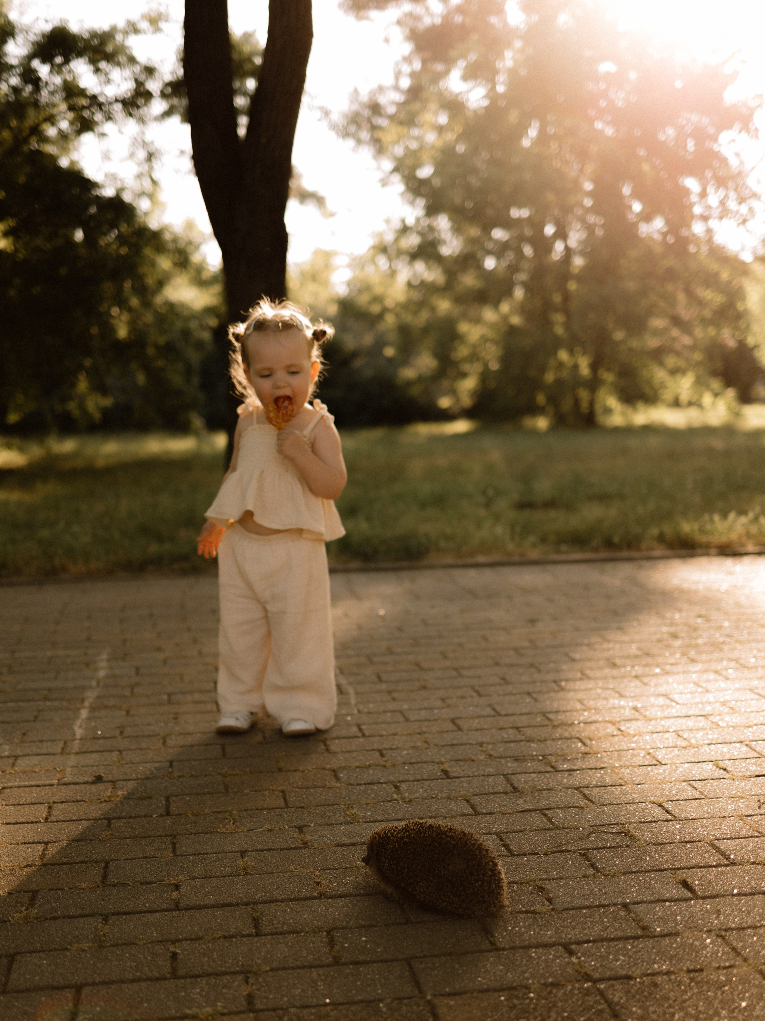 К двум годам Машули — дендрарий. Семейный фотограф в Краснодаре Храмова Анна