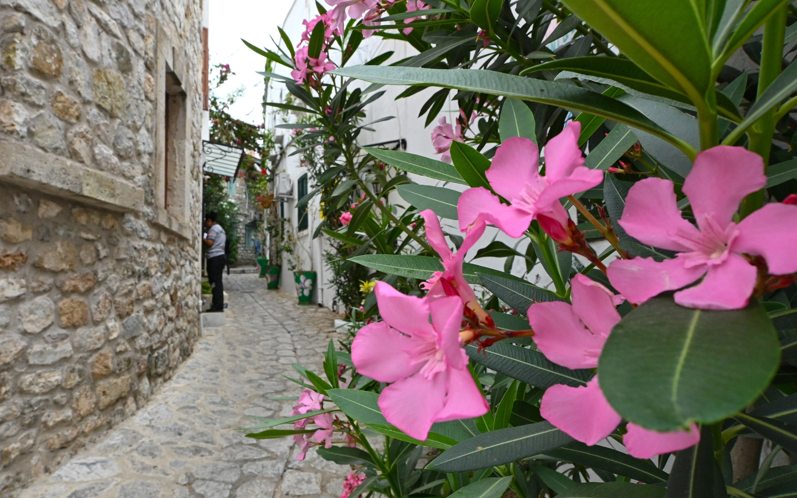 Тревел фото