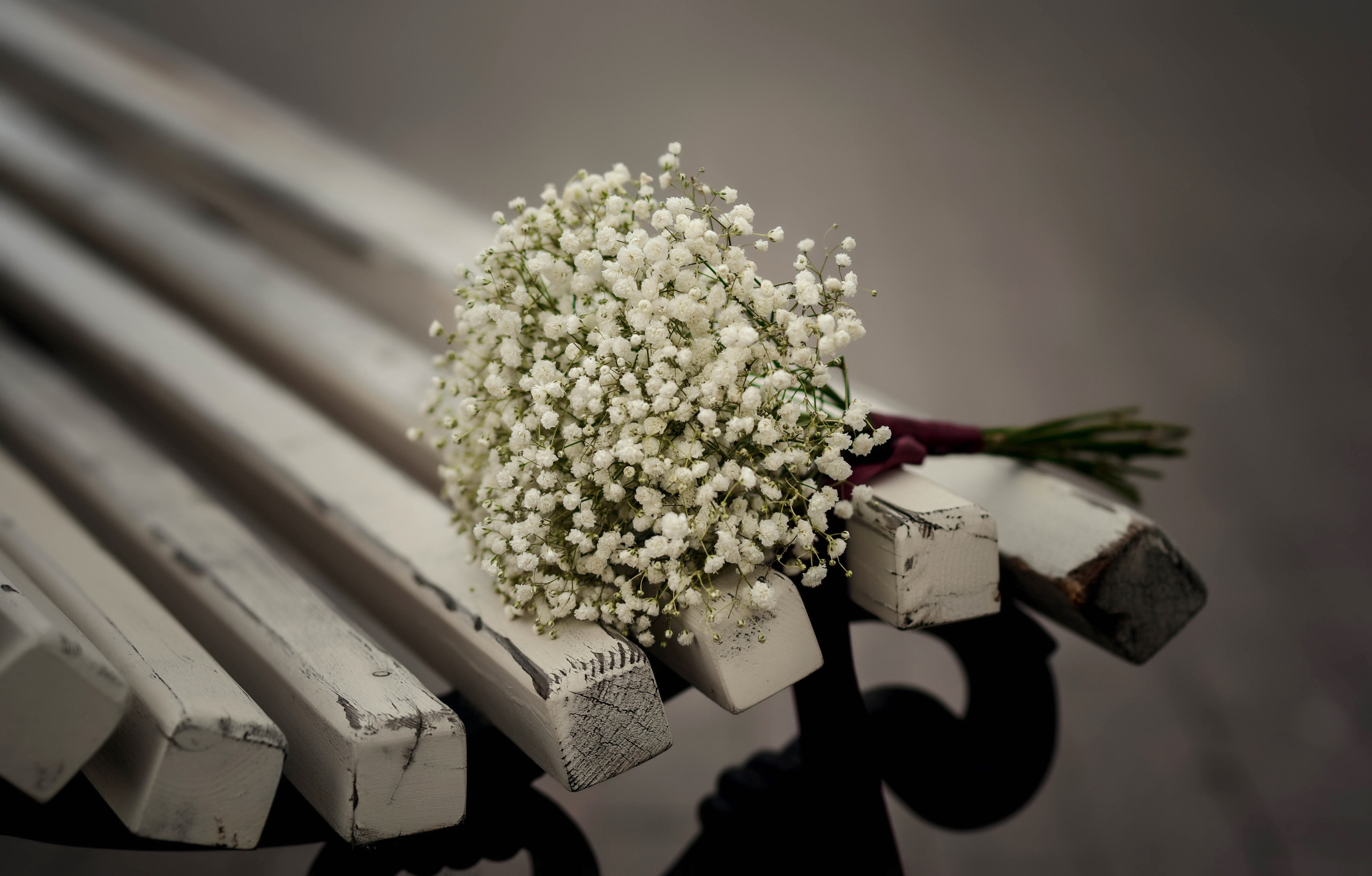 Цветущий май. Свадебная прогулка Андрея и Светланы. Свадебный, семейный, детский, контент фотограф в Омске Максим Ильин