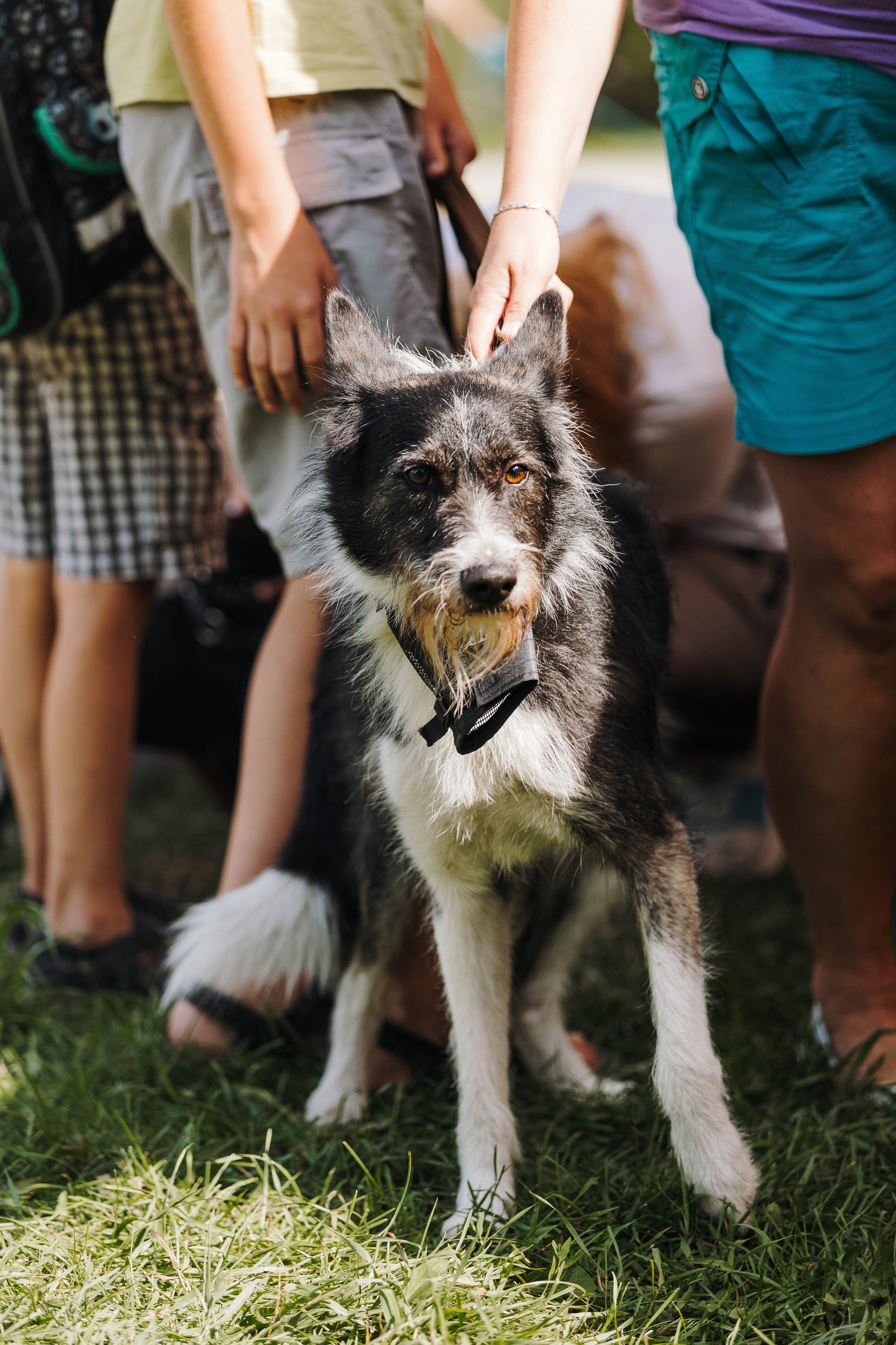 Petshop Sup day. Фотограф анималист Кристина Карпова, Москва